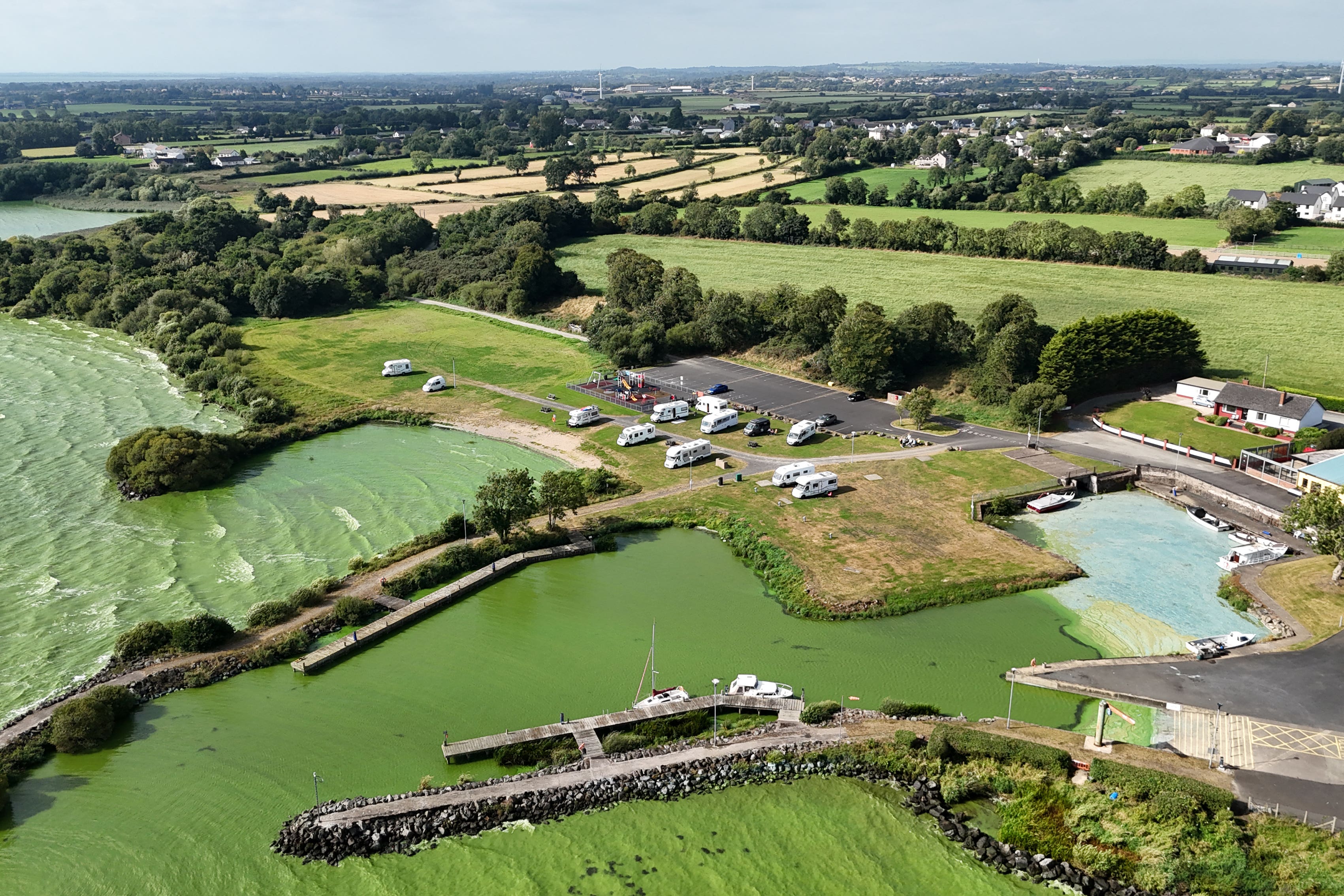 Blue-green algae at Battery Harbour on Lough Neagh near Cookstown in Co Tyrone in August (Niall Carson/PA)