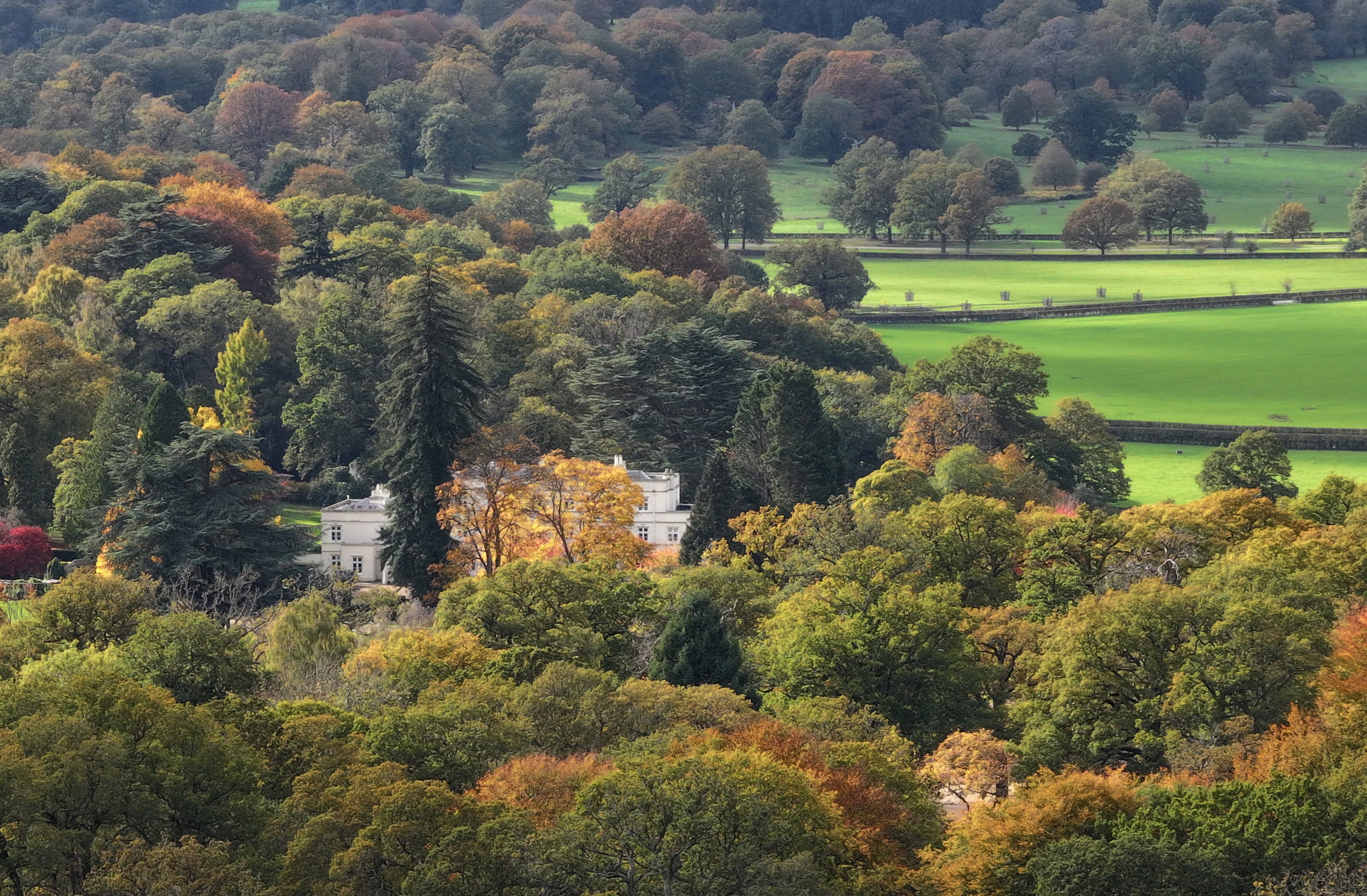 There has been recent concern about whether Prince Andrew has paid a peppercorn rent for the Royal Lodge