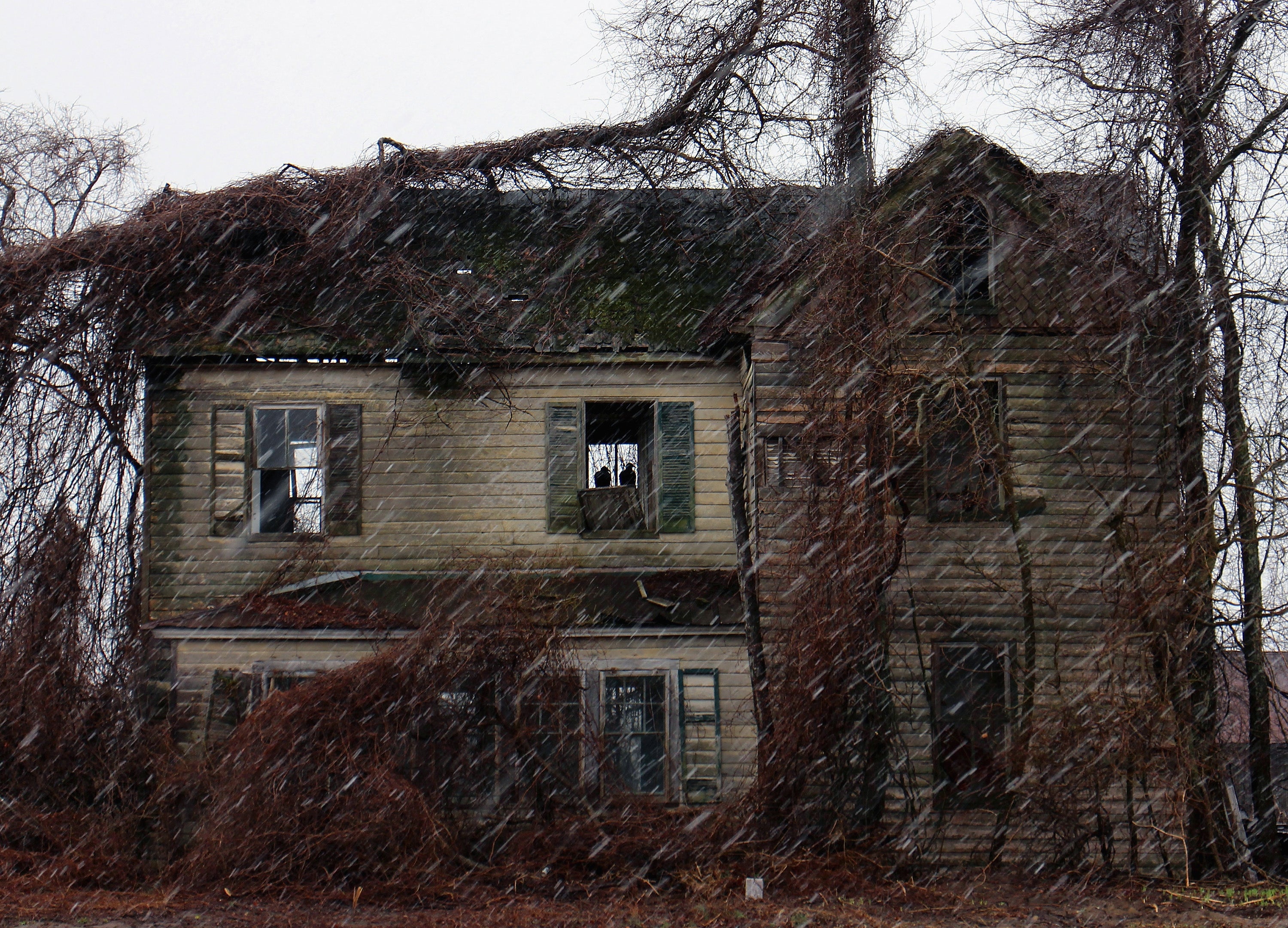 Half of Americans would buy a haunted house if it were a bargain, research finds