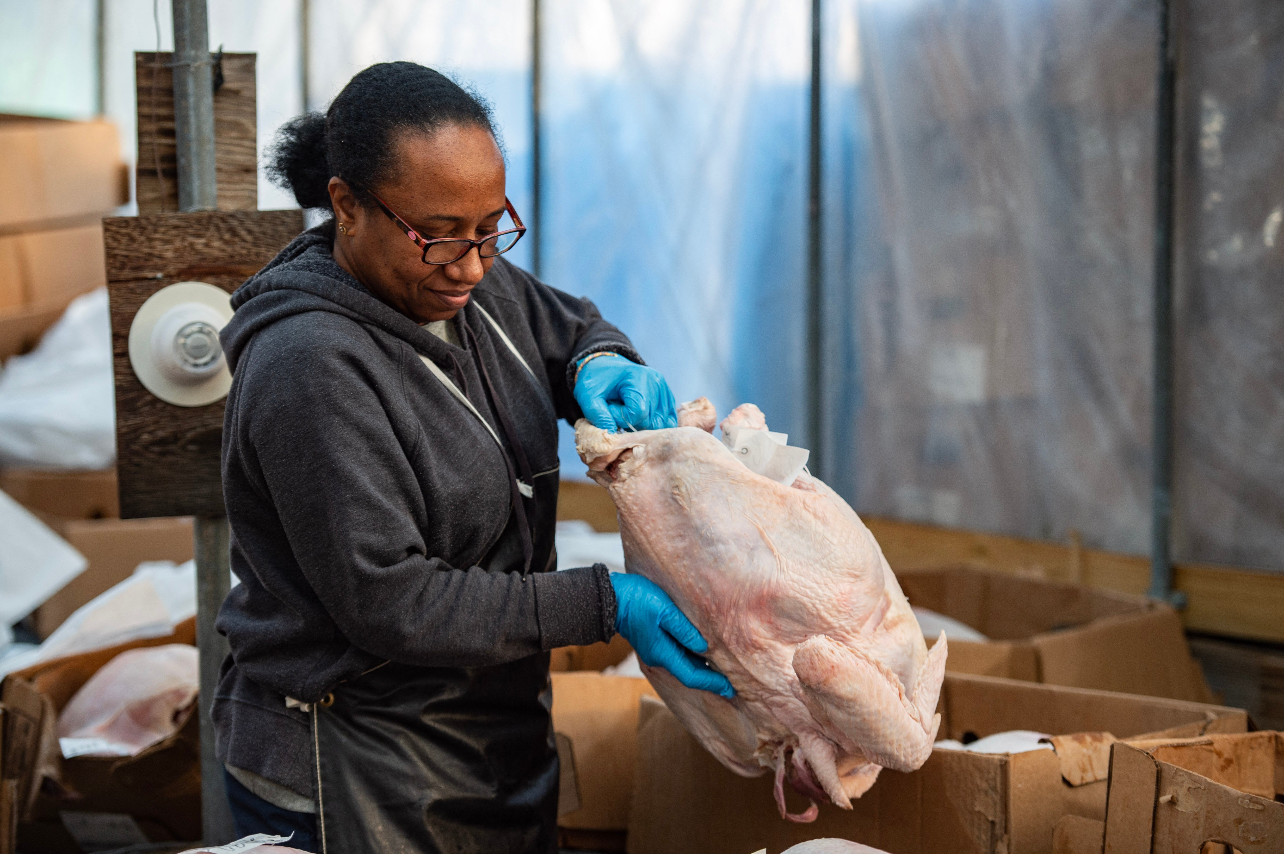 Farmhands sort and pack fresh turkeys at a Massachusetts farm shortly before Thanksgiving 2022. Turkey prices are expected to rise this year