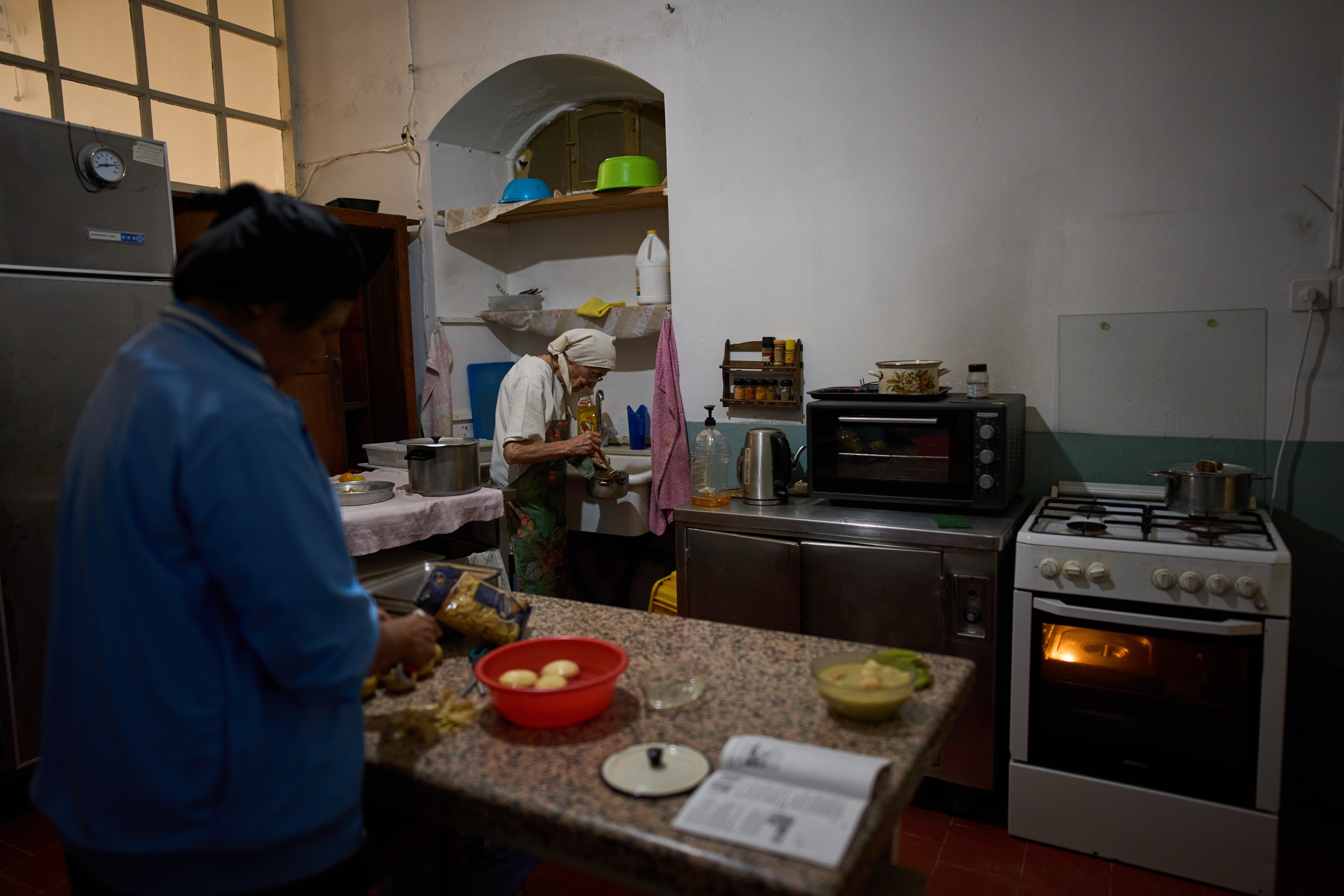 Mount of Olives Harvest