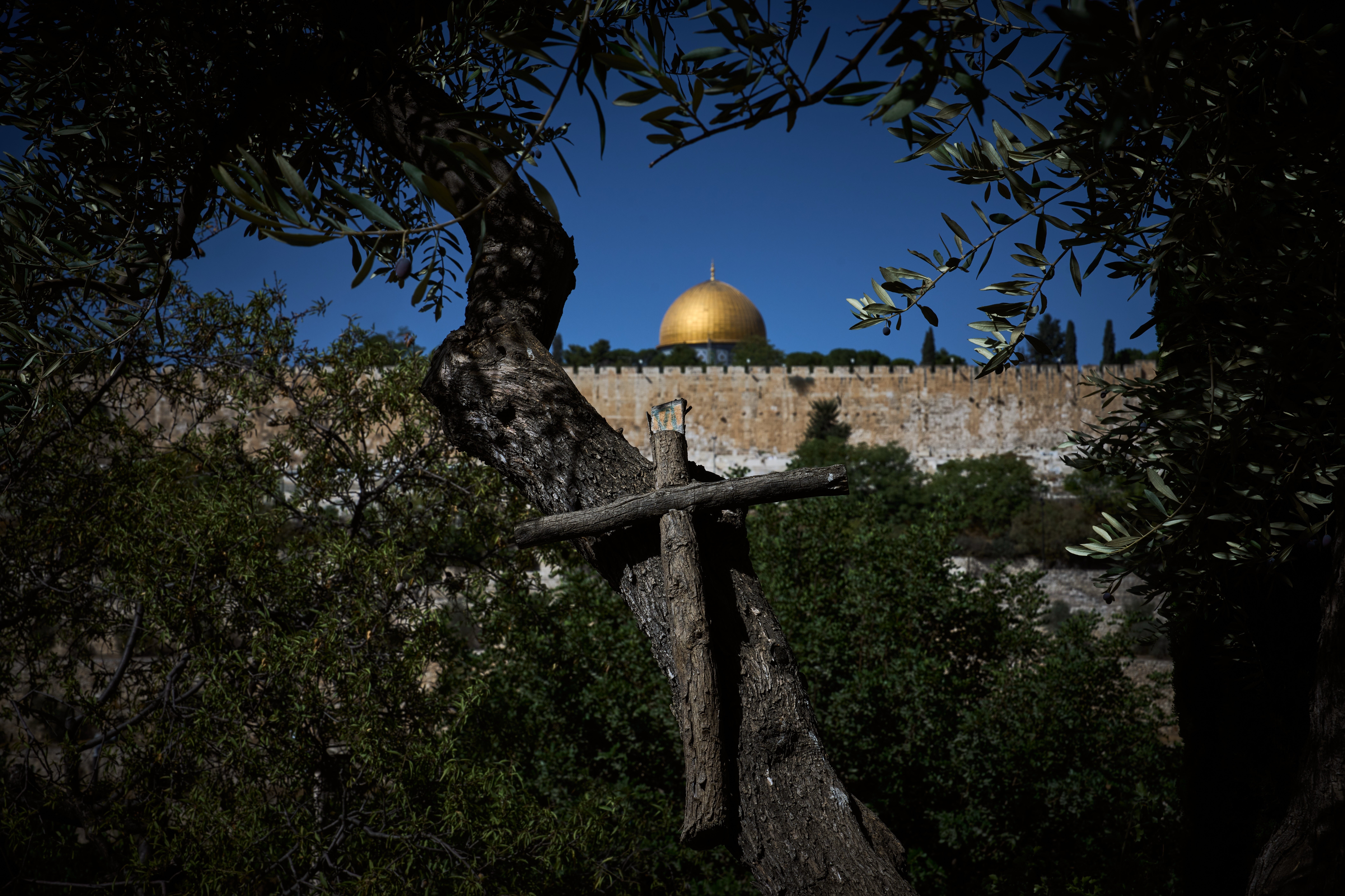 Mount of Olives Harvest Photo Gallery