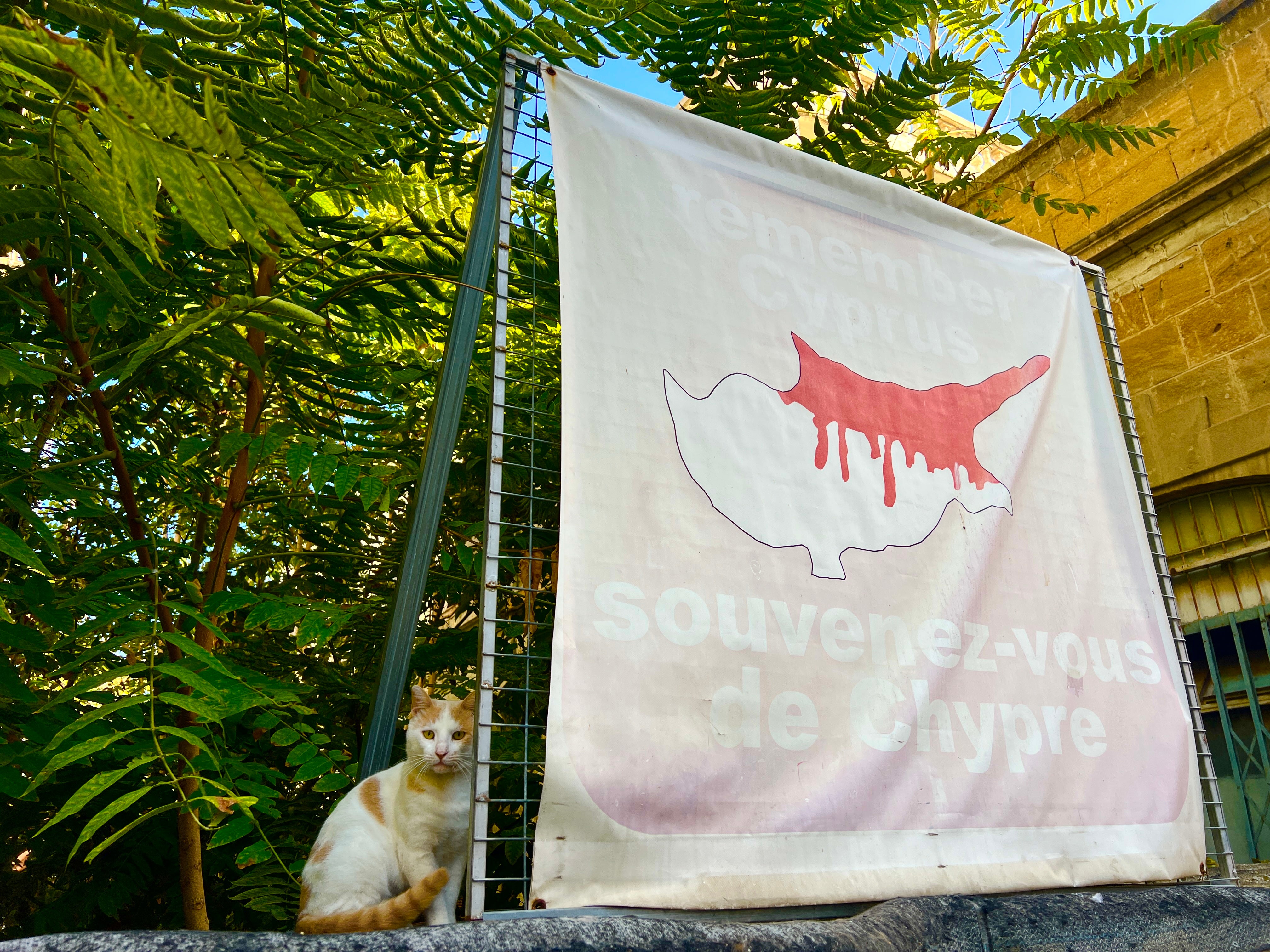 Remember Cyprus: Message on the edge of the buffer zone in Nicosia