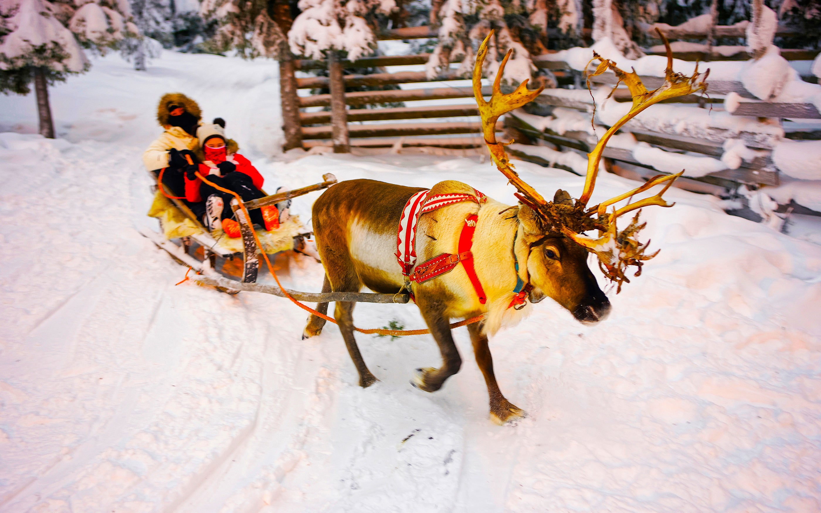 Reindeer sleigh rides are included in this Santa-themed trip