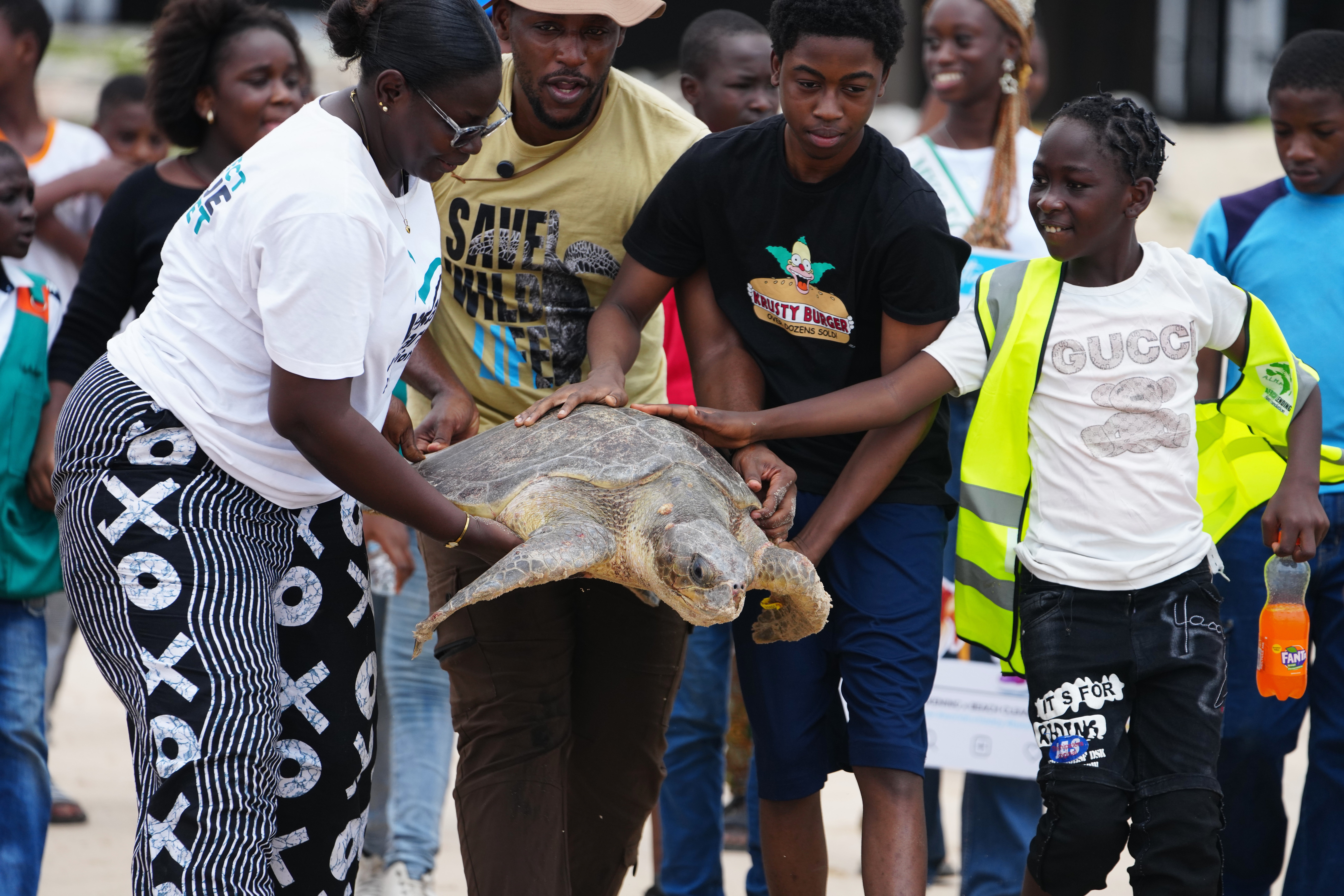Nigeria Sea Turtle Released
