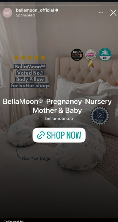 <p>A screenshot taken by Irish company BellaMoon shows that Meta drew a line through the word ‘pregnancy’ in one of the company’s ads for a pregnancy pillow </p>