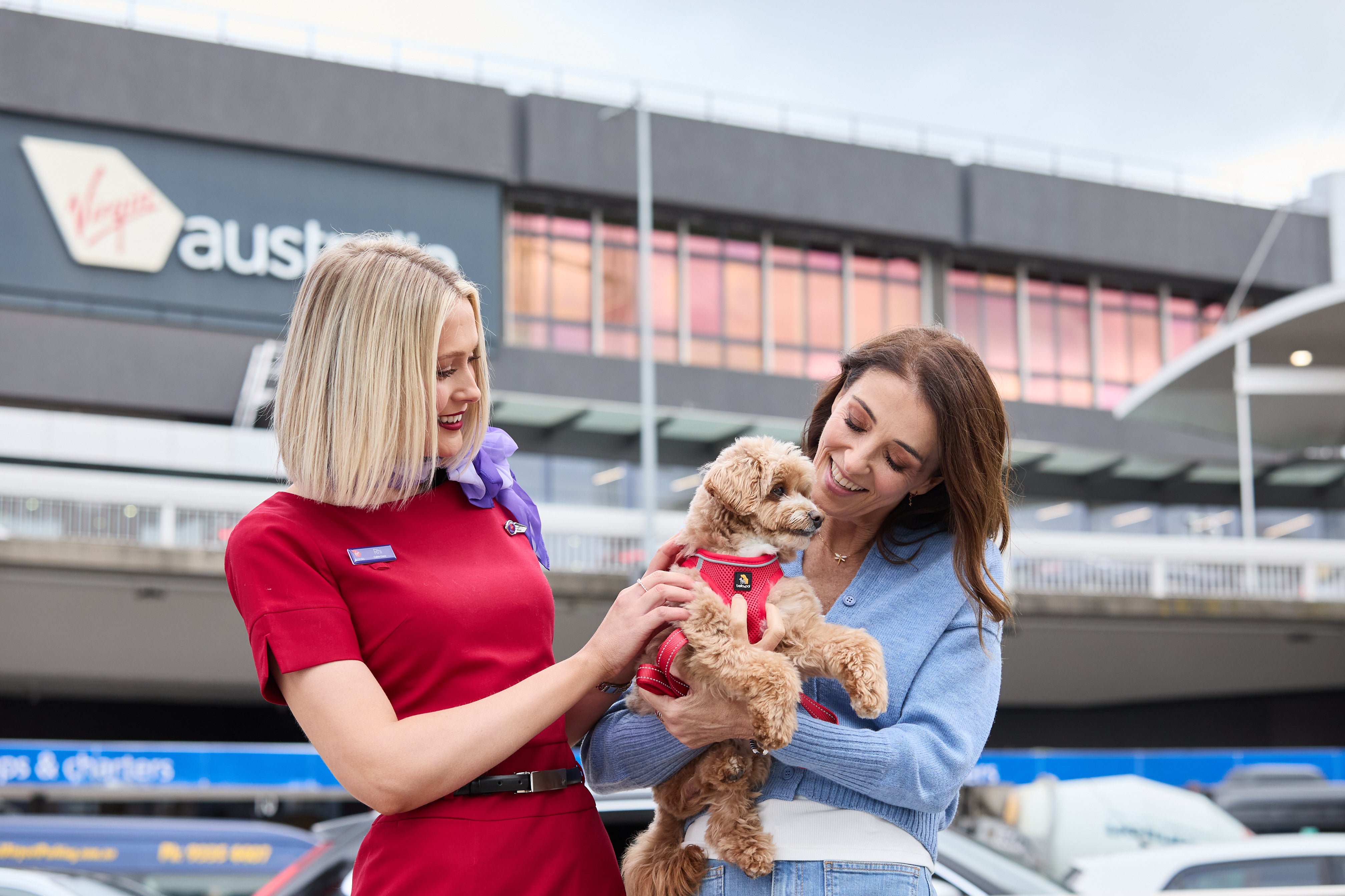 Pets can fly in the cabin between Melbourne, the Gold Coast and the Sunshine Coast