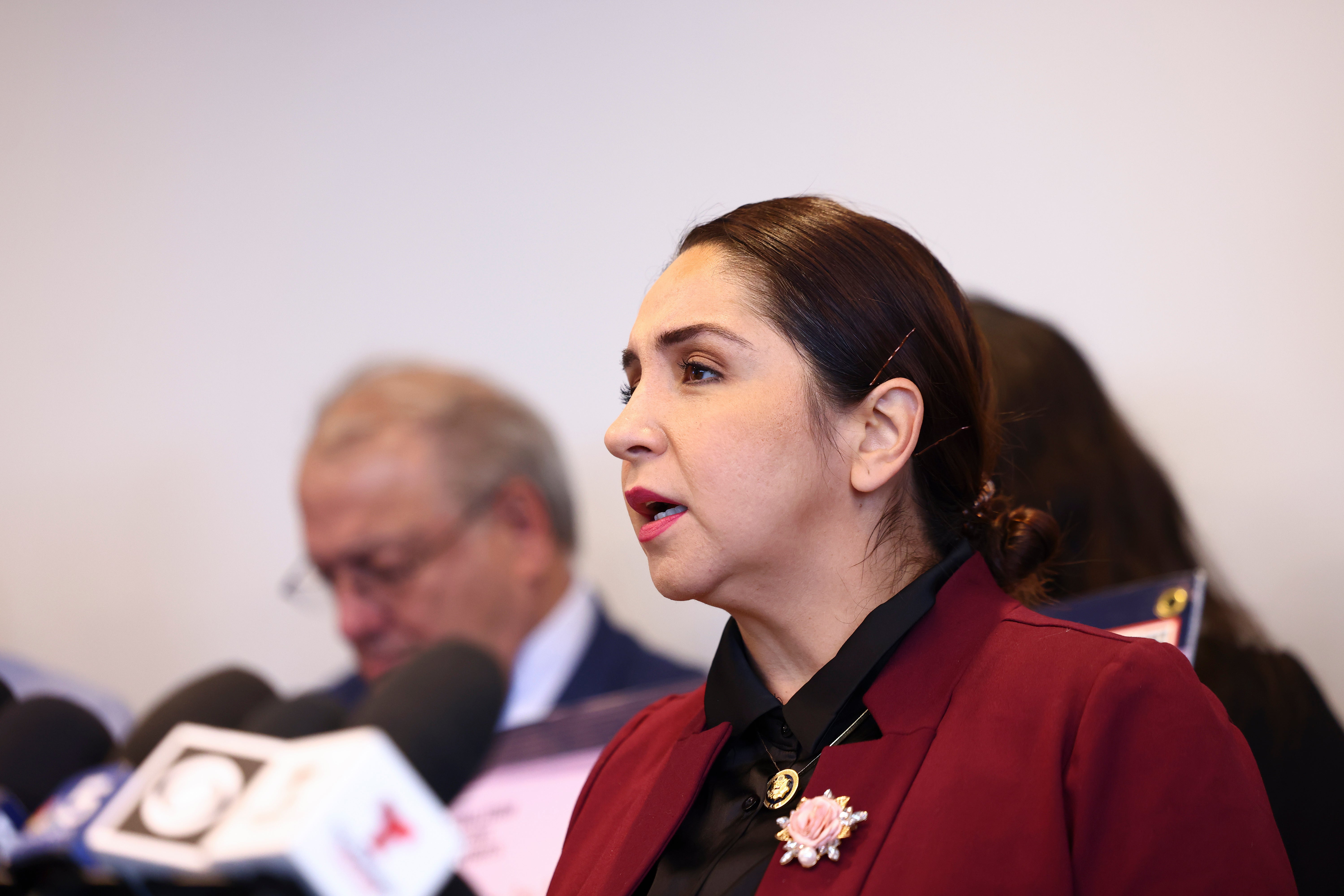 <p>Rep. Delia Ramirez has called for ICE and DHS to be abolished, putting her at odds with some more centrist Democrats</p>