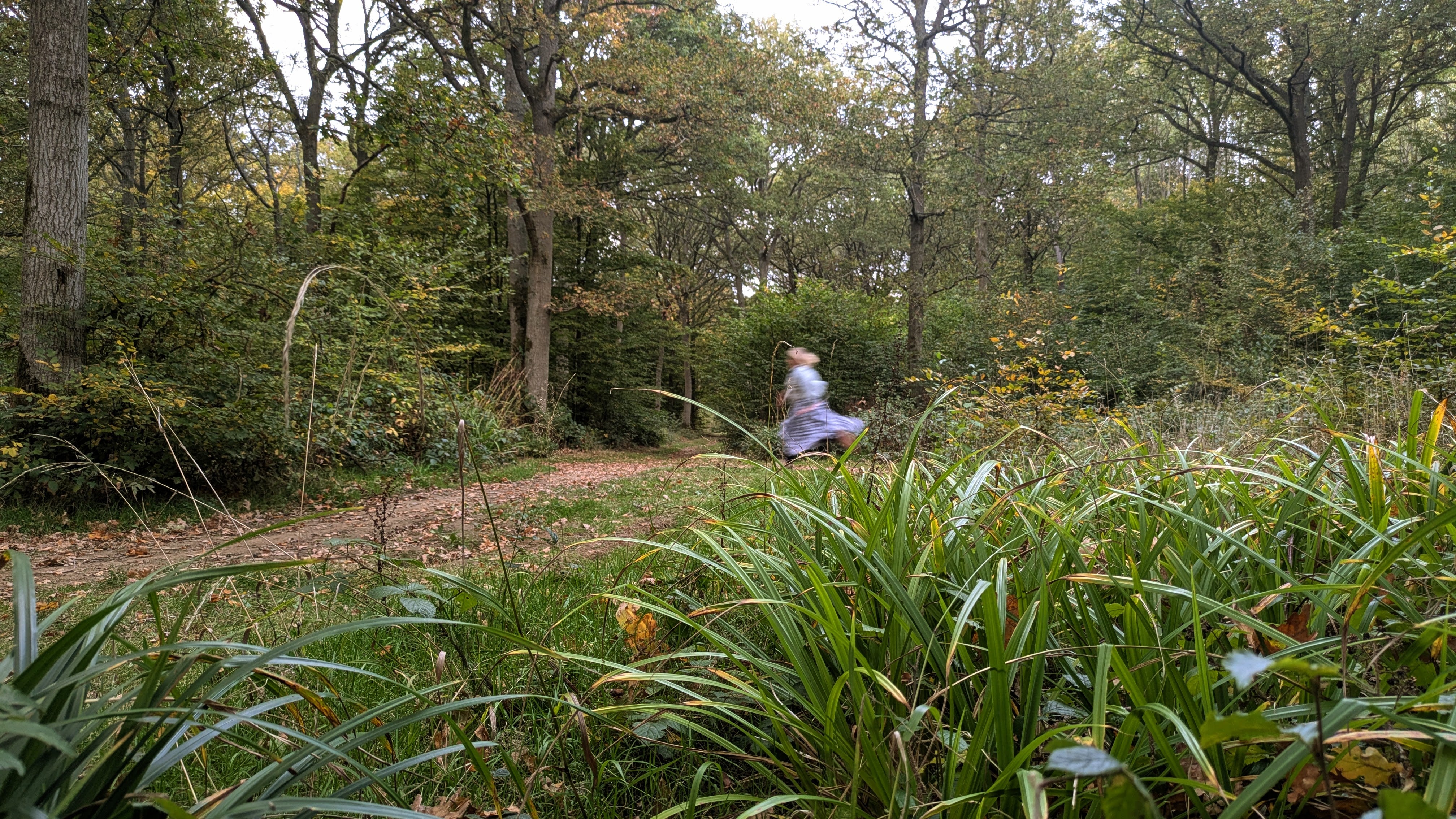 Spectral sprint: Ghostly sights in Dering Wood