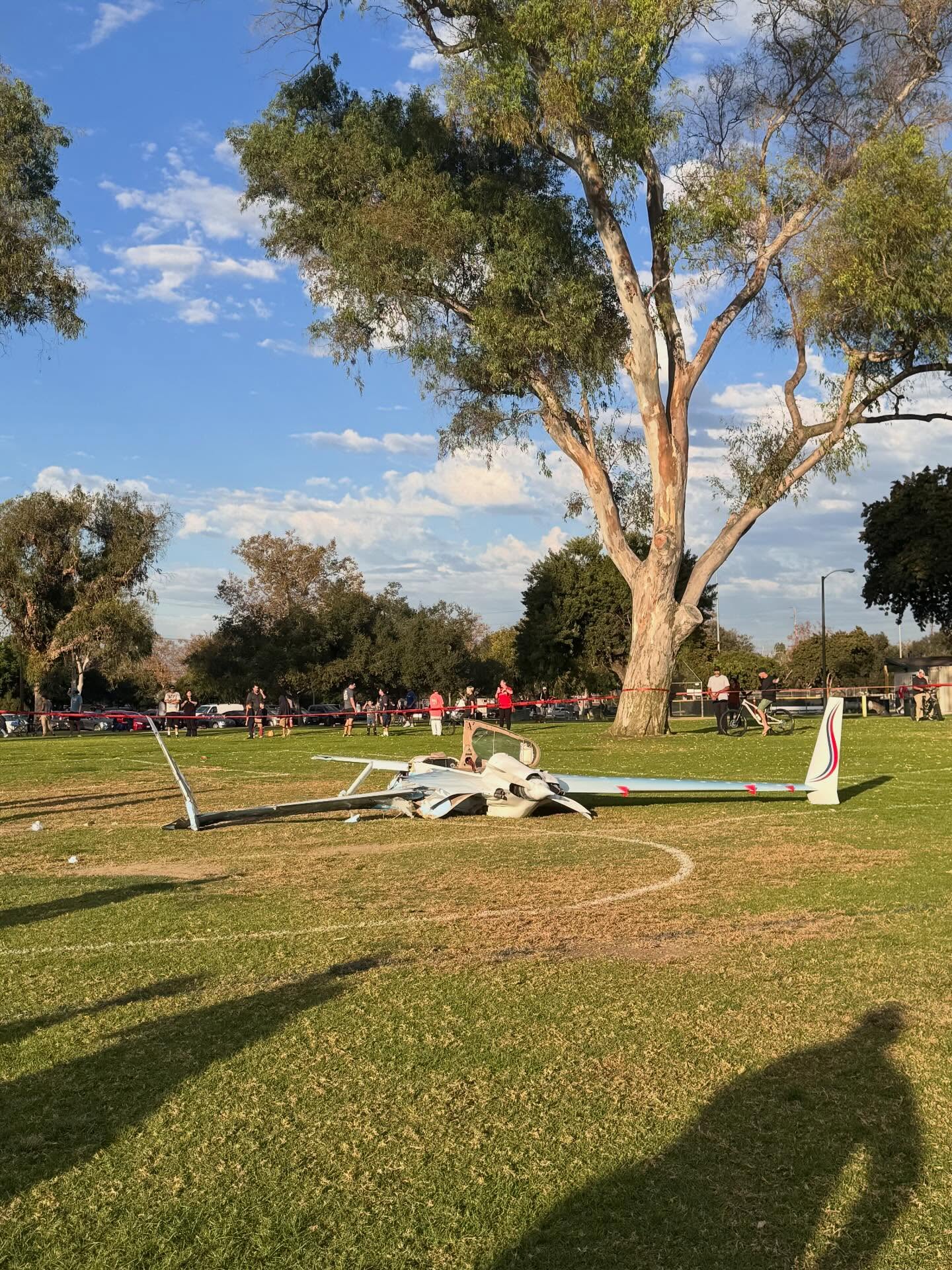 A deaf woman survived being hit by a small custom-made plane that crashed into her as she walked her dog in a soccer field
