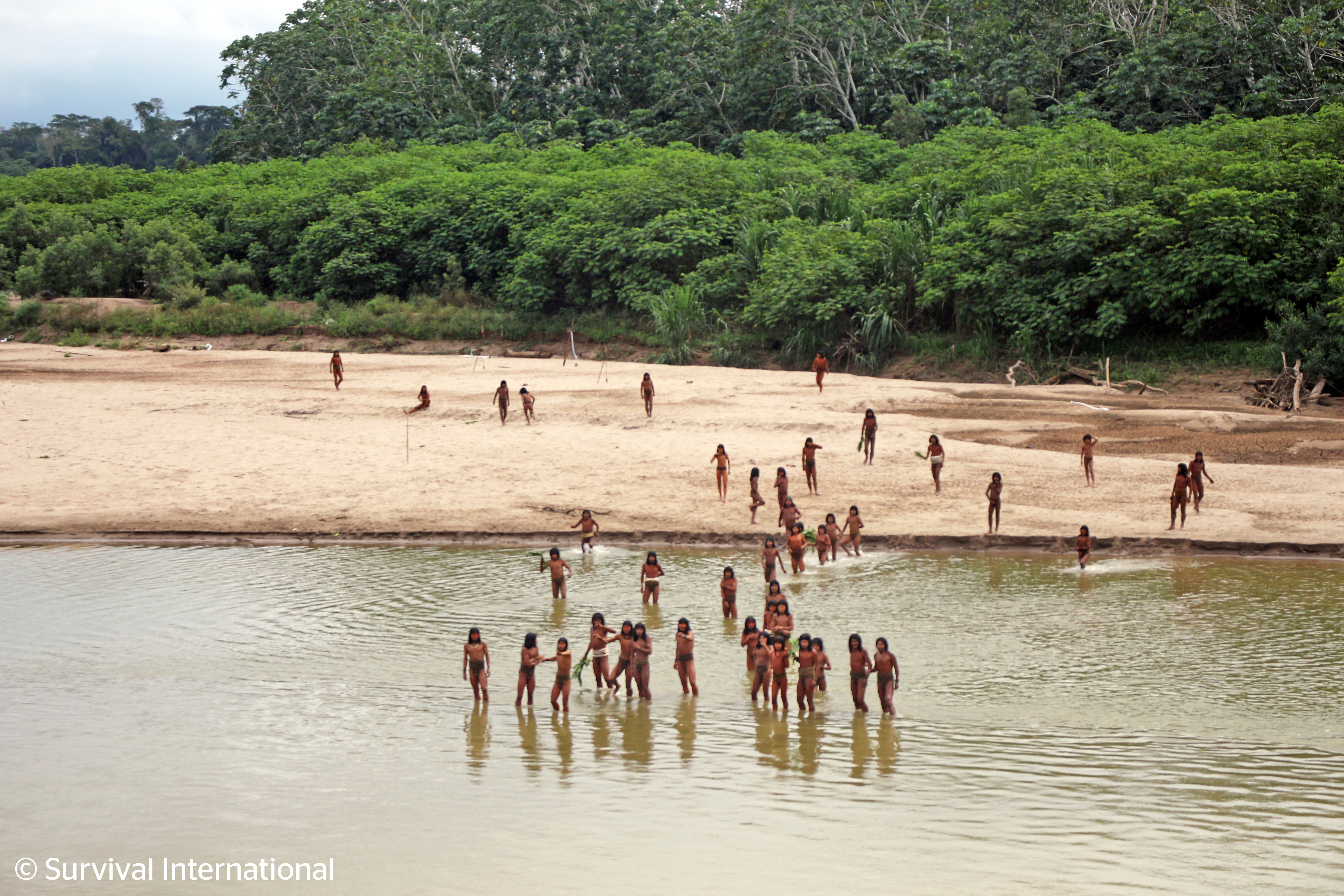 Amazon Uncontacted Tribes Explainer