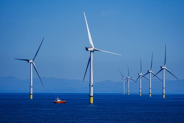 <p>The government has awarded offshore wind farm contracts which could power 12 million homes (Peter Byrne/PA)</p>