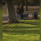 Moment mistakenly freed migrant sex offender arrested by police in north London park