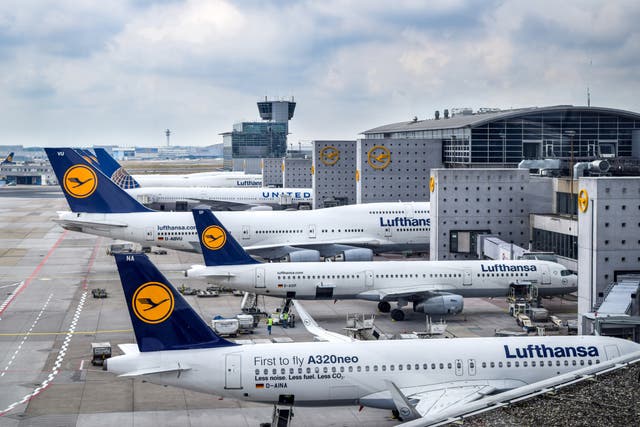 <p>Lufthansa is one of Germany’s biggest airliners</p>