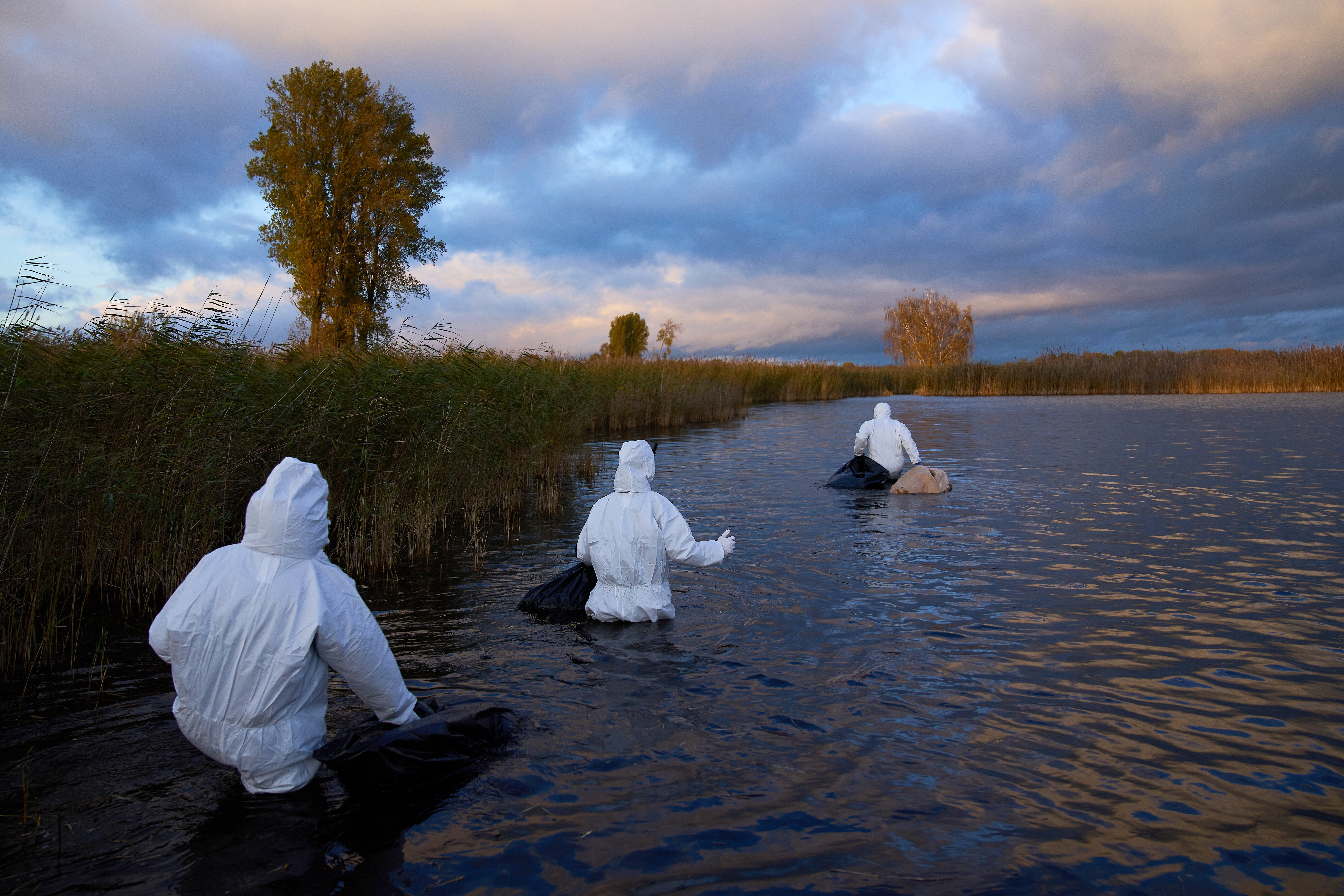 <p>Environmental workers collect the bodies of birds that have died from bird flu in a lake in Linum, Brandenburg, Germany</p>