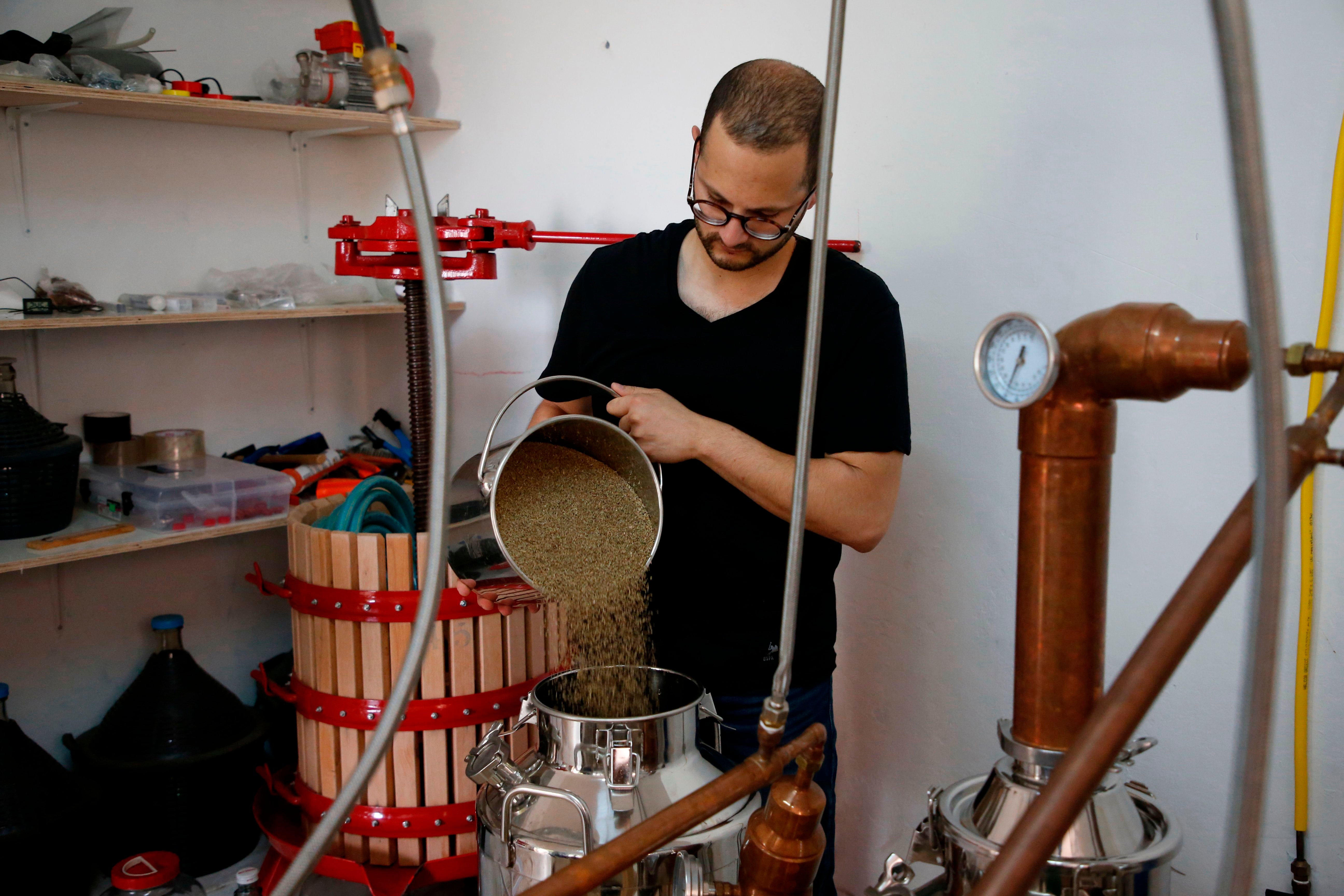 Semena anýzu, oblíbená v asijské a evropské kuchyni, se přidávají do svátečních sušenek a svařeného vína