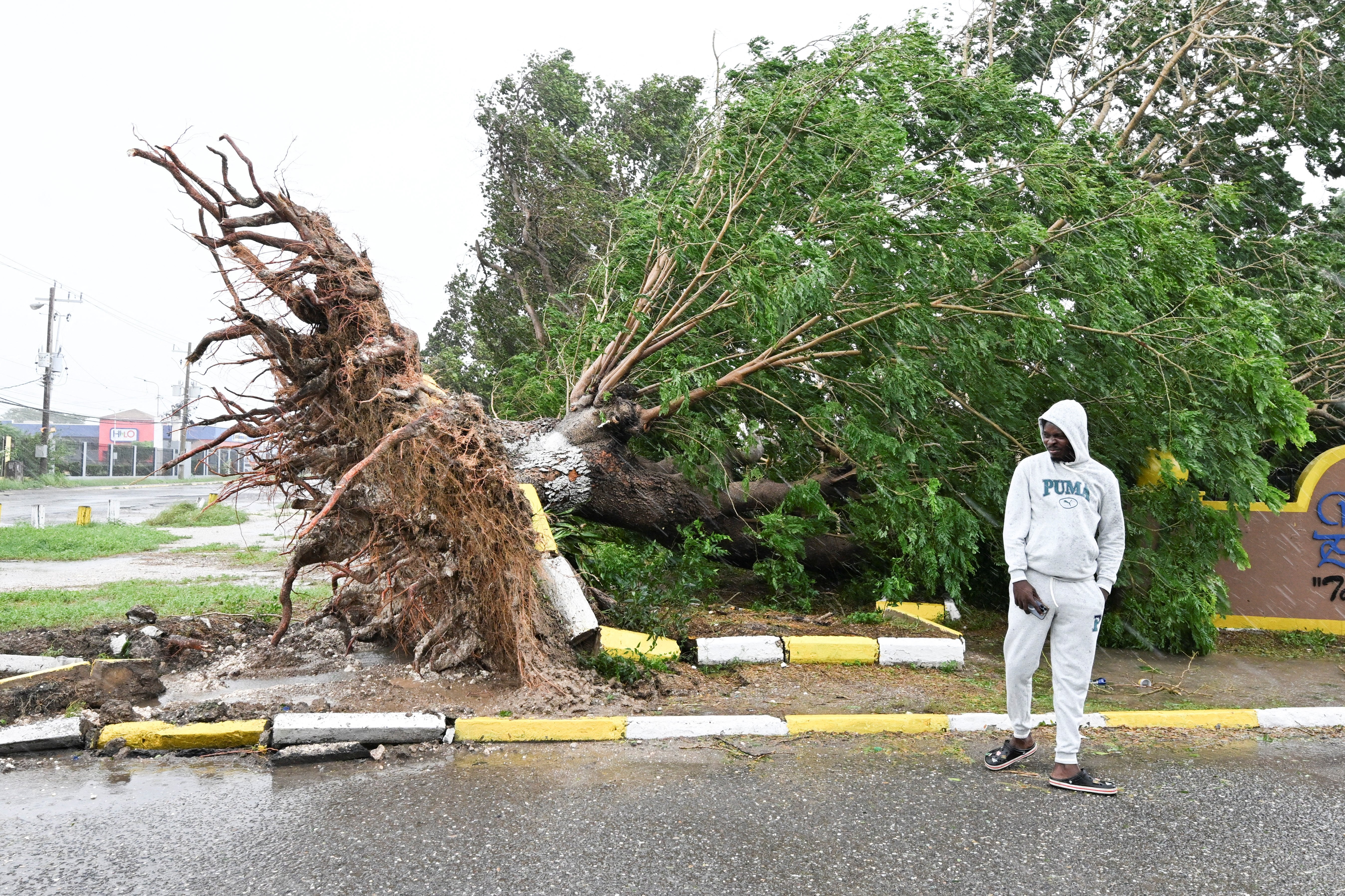 The storm caused widespread damage with trees torn up across the island
