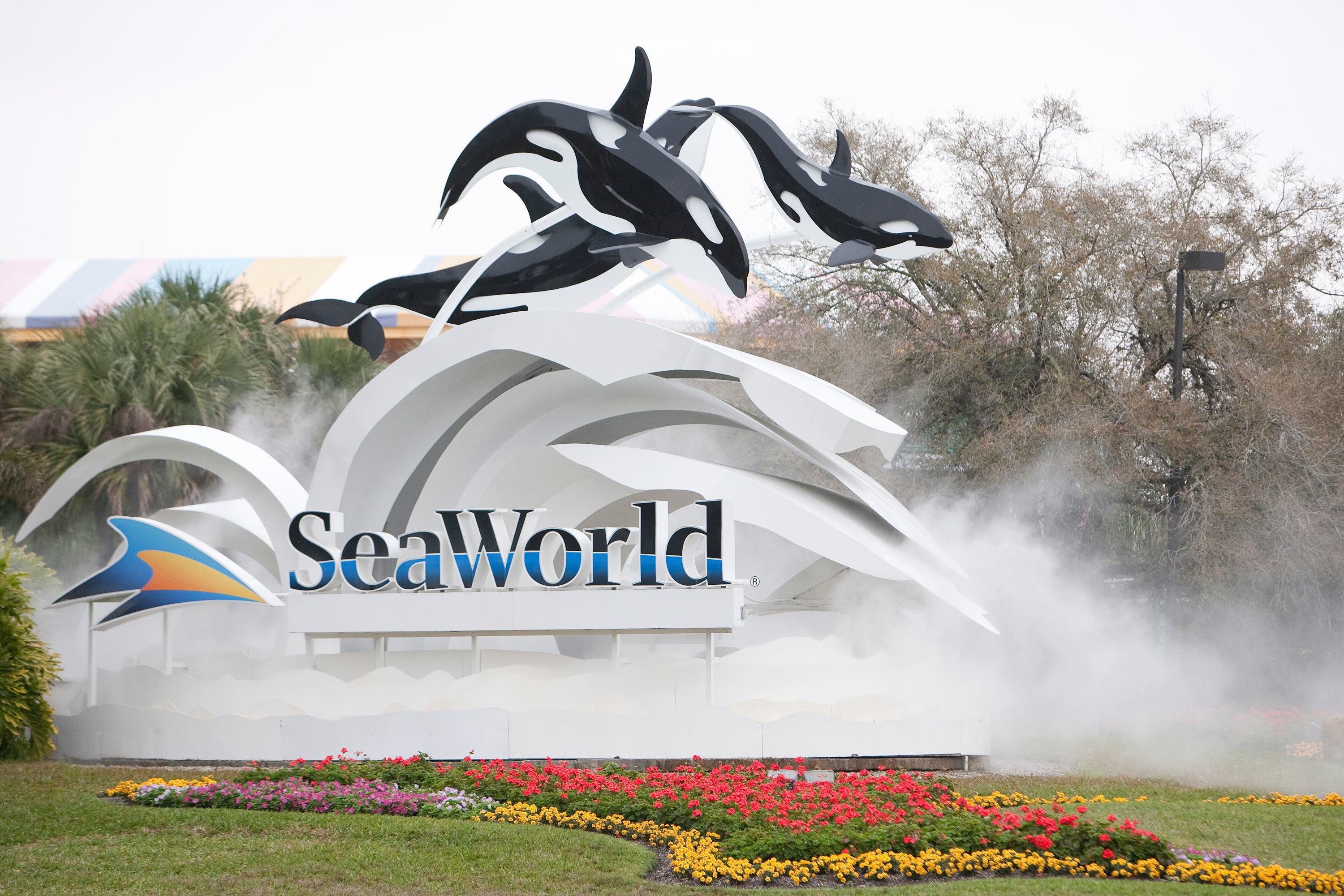 SeaWorld is looking to dismiss a lawsuit a park visitor filed claiming she was hit in the face by a duck while riding a roller coaster