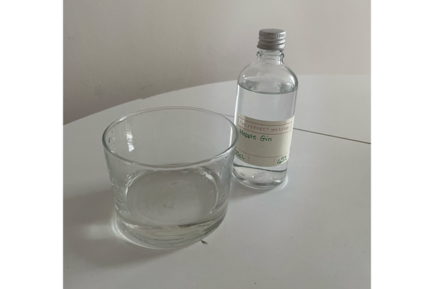 best gin indybest review hepple gin