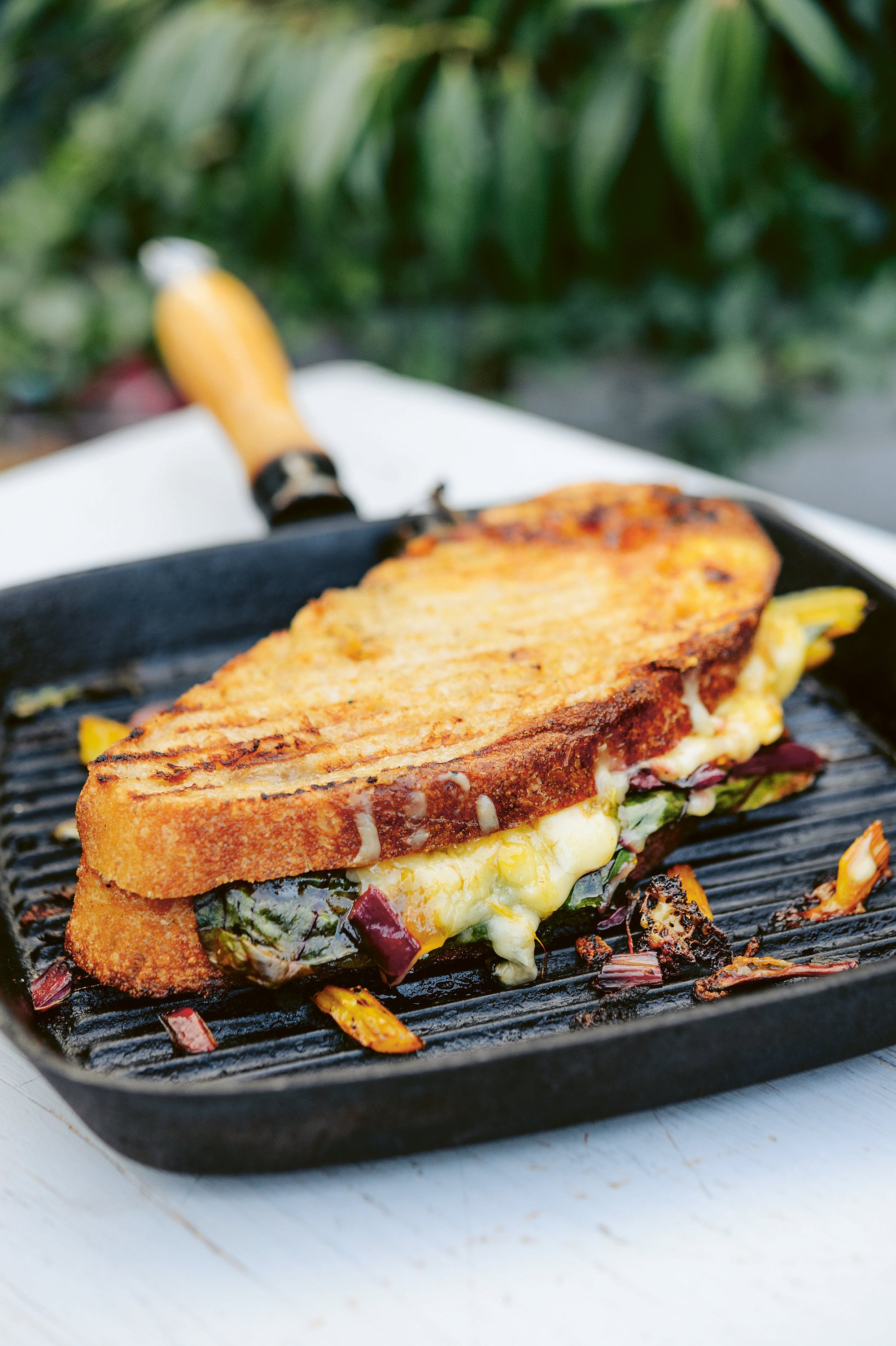‘Grilling greens brings out their smoky sweetness,’ says Genevieve Taylor – and her rainbow chard toastie proves it