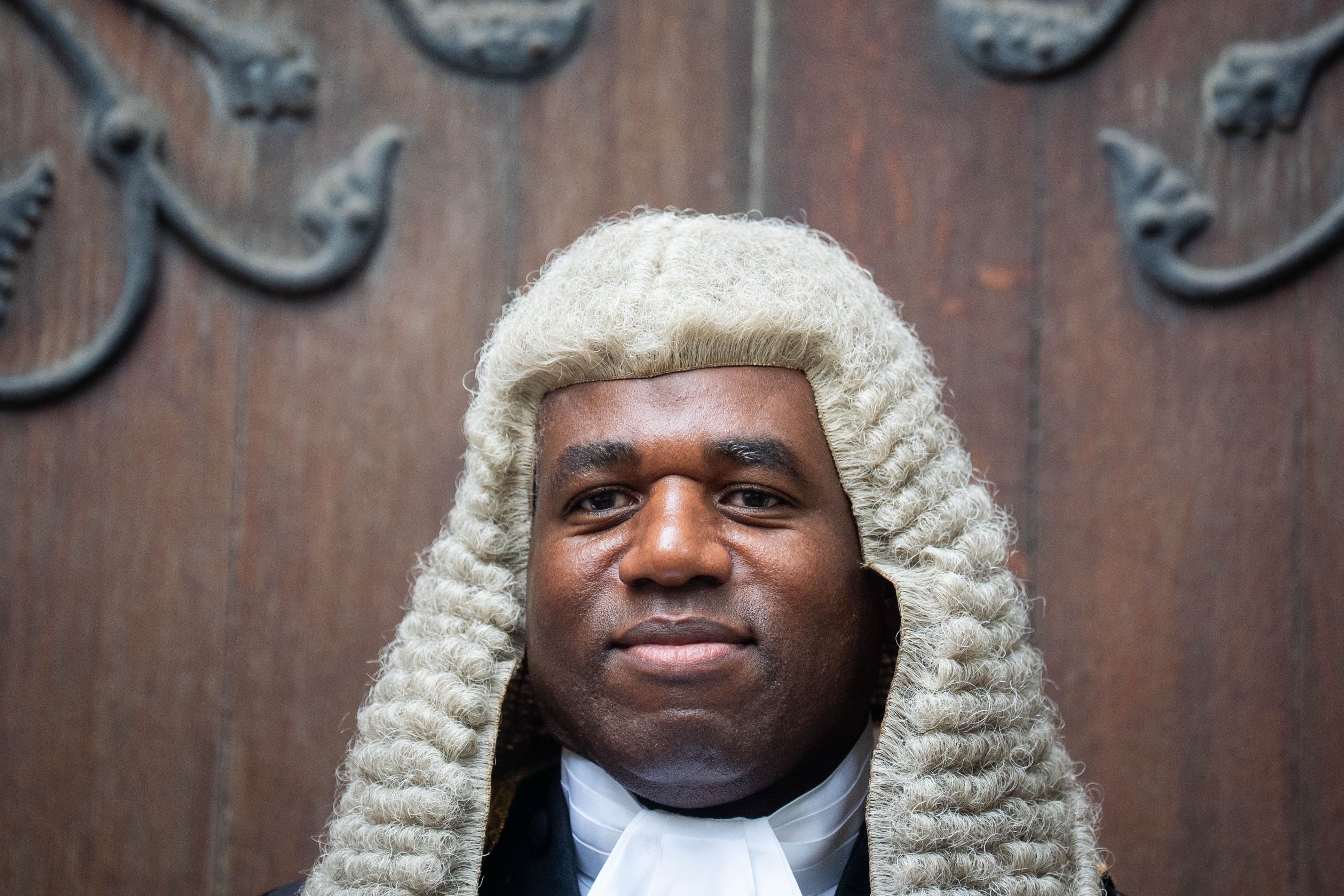 As Lord Chancellor, David Lammy can remove people from the roll of the peerage (James Manning/PA)