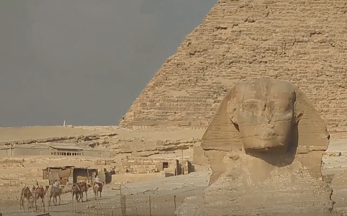 The campaign group Peta has urged tourists to avoid animal rides in Egypt, which it says are often exploitative (file photo)