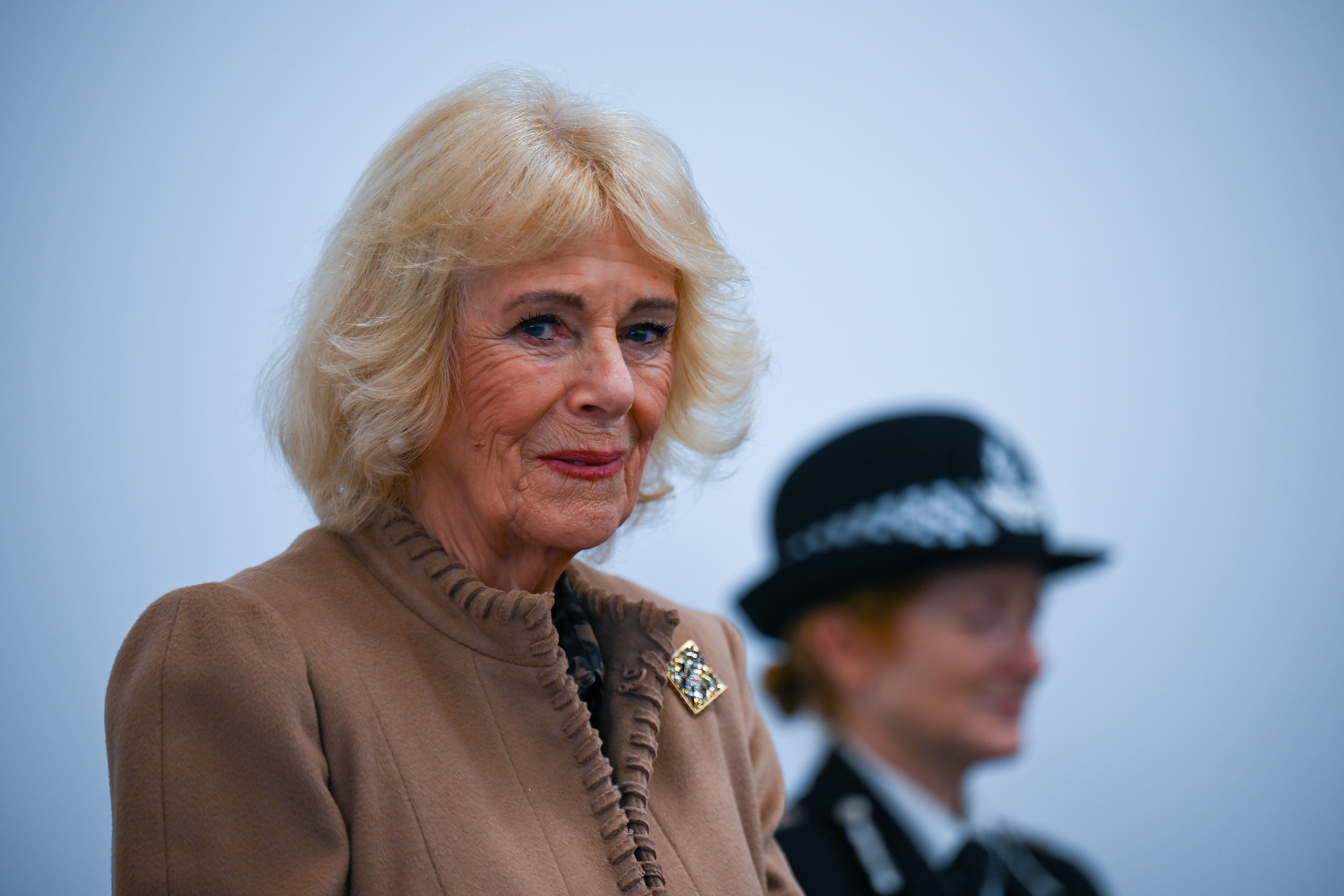 Queen Camilla is reportedly horrified by Andrews alleged links to Epstein