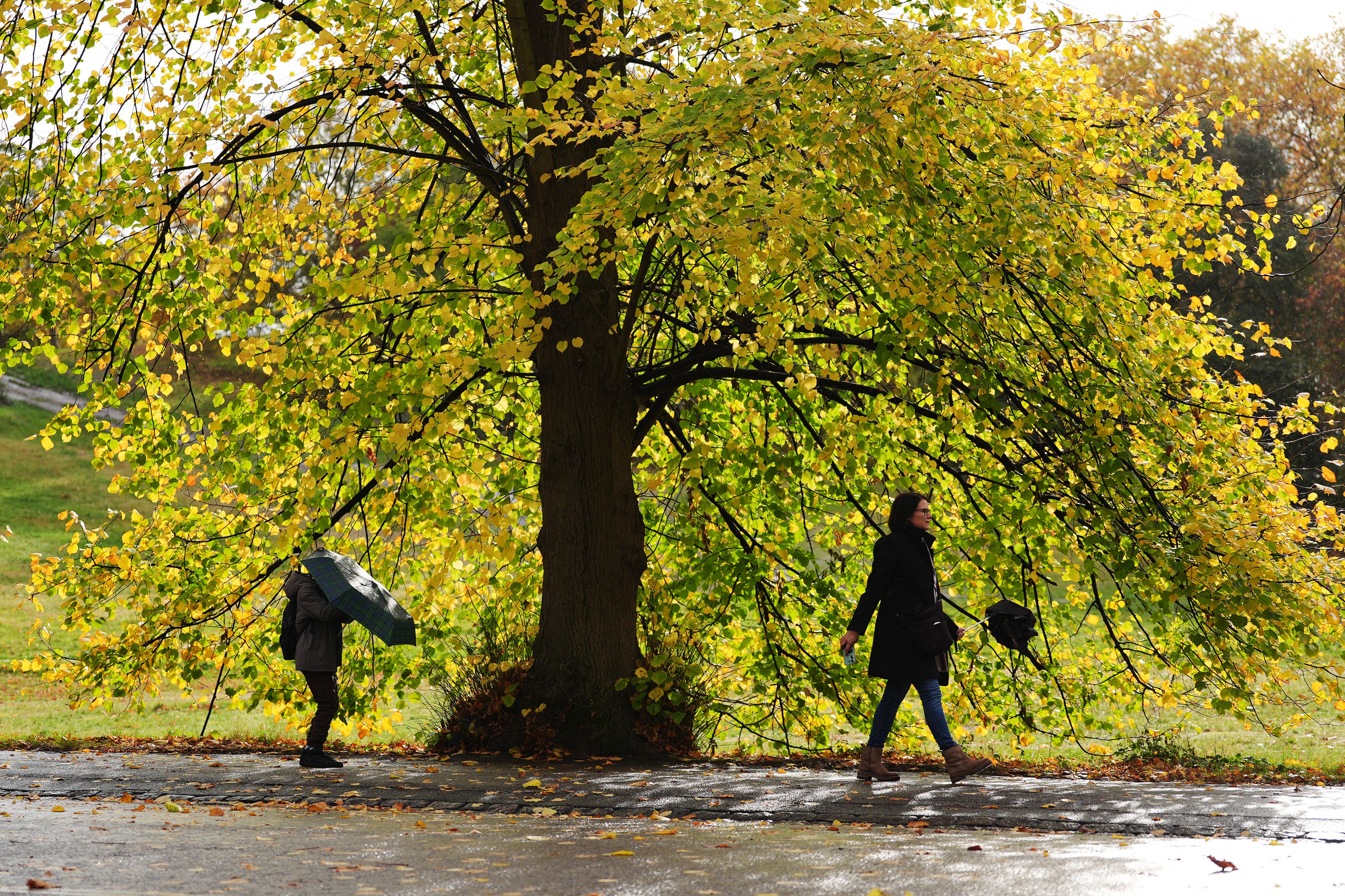 People with umbrellas walking in Greenwich Park, London (Yui Mok/PA)
