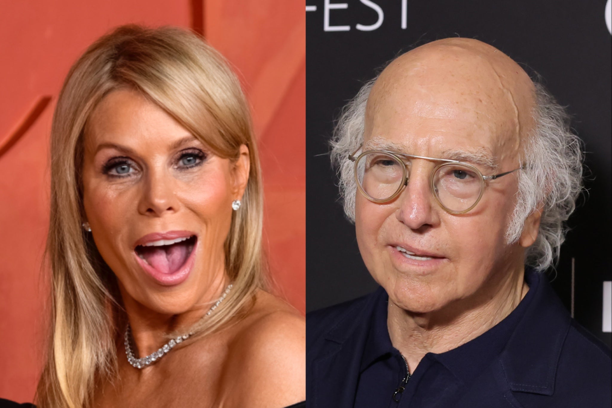 Cheryl Hines and Larry David