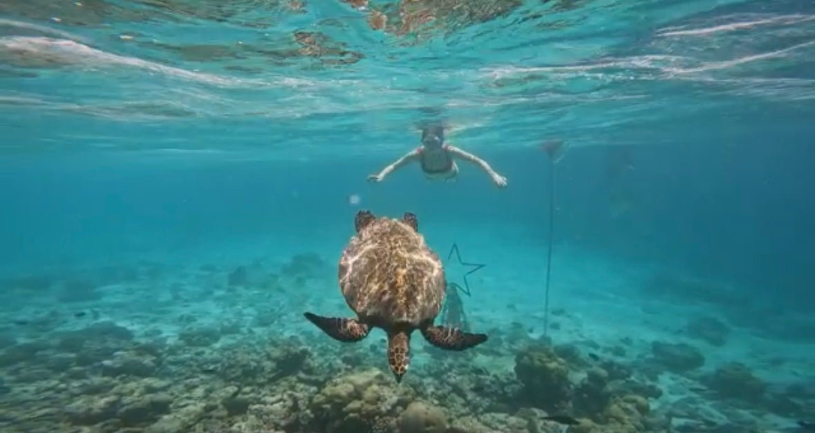 Home to over 300 species of marine life, including turtles and reef sharks, W Maldives guests have direct access to the reef’s coral gardens, with snorkelling and diving experiences from the steps of their villa