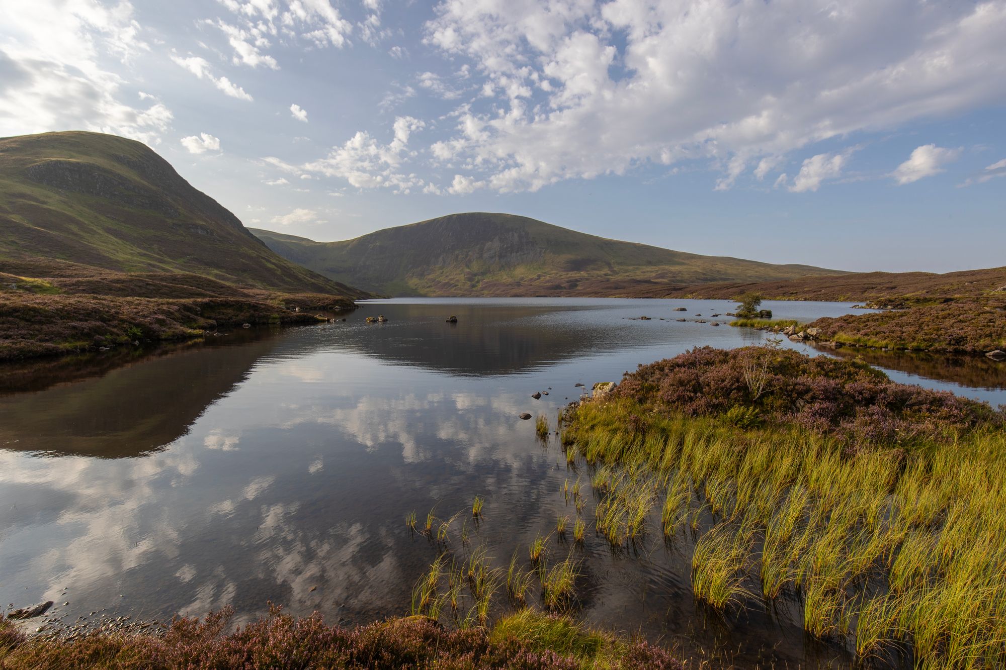 <p>Vendace were reintroduced to Loch Skeen, within the National Trust for Scotland’s Grey Mare’s Tail Nature Reserve in Dumfries and Galloway</p>