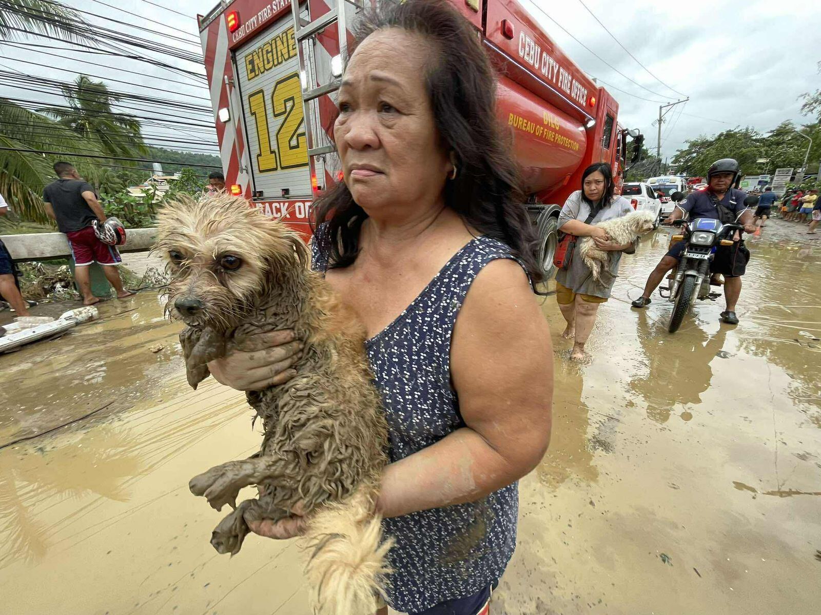 People carry dogs through flooded neighbourhoods
