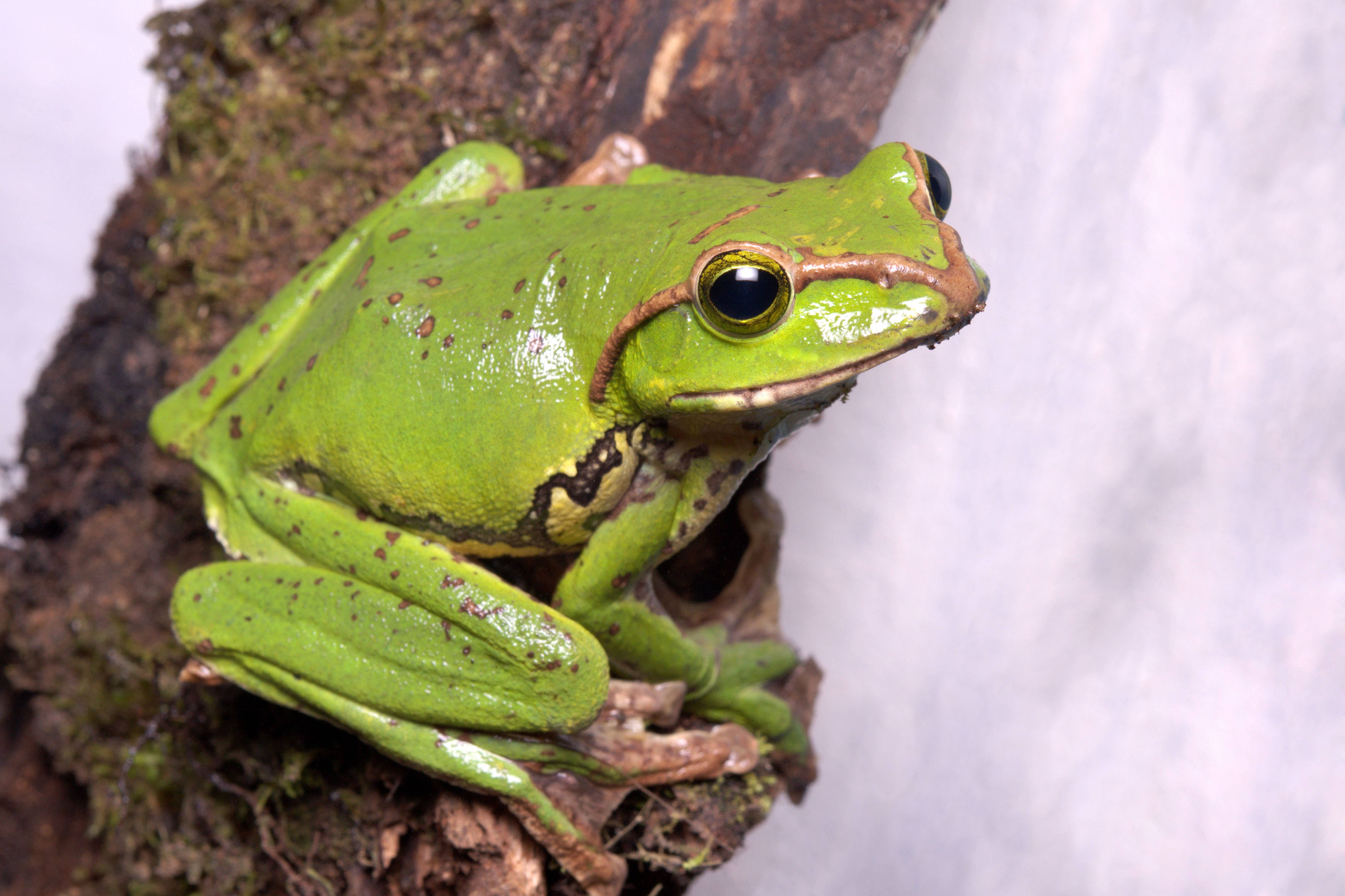 A CEO has explained the pros and cons of ‘hopping’ to another job