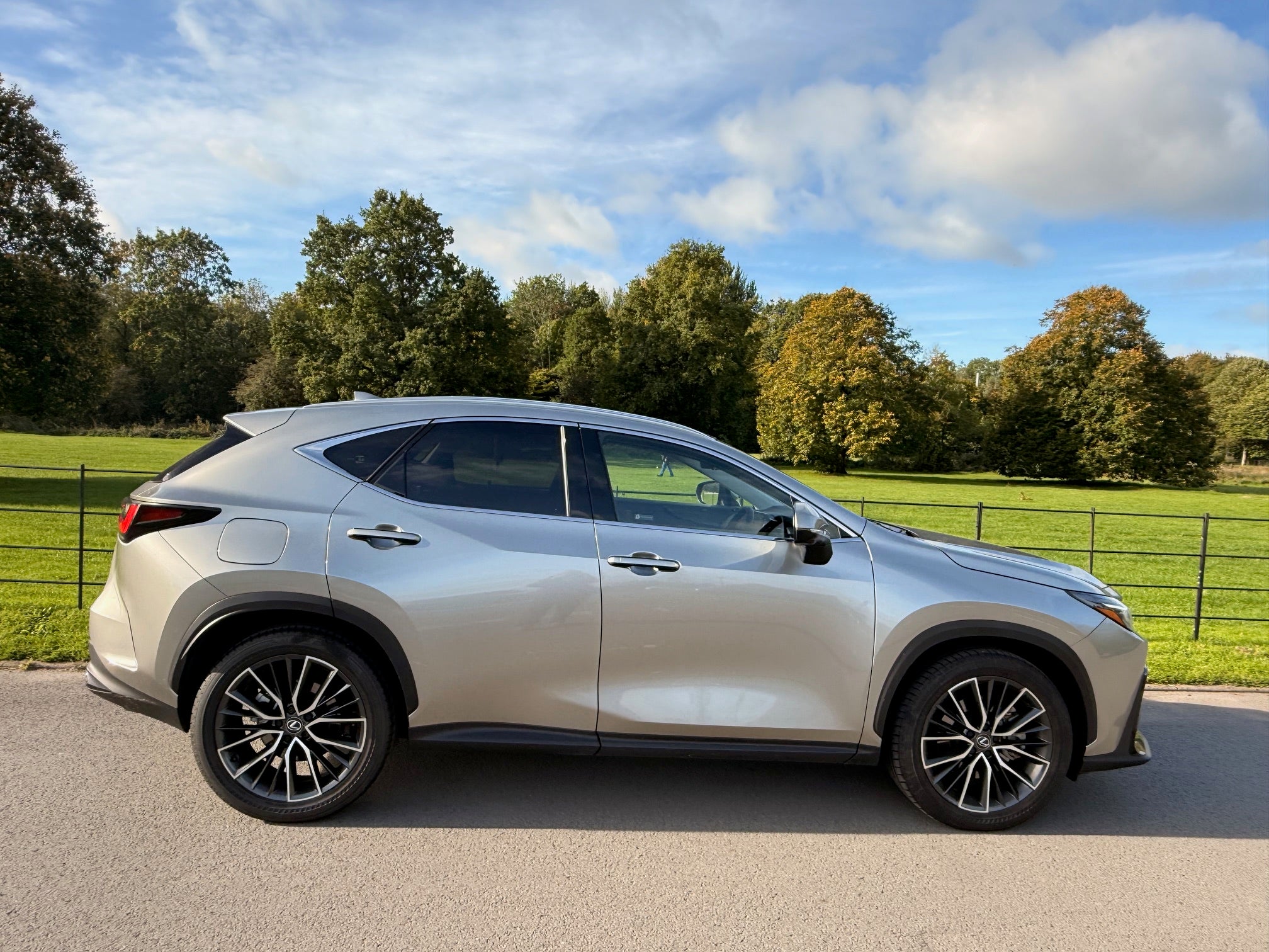 Not even apocalyptic-like weather conditions deterred the Lexus NX on our test drive