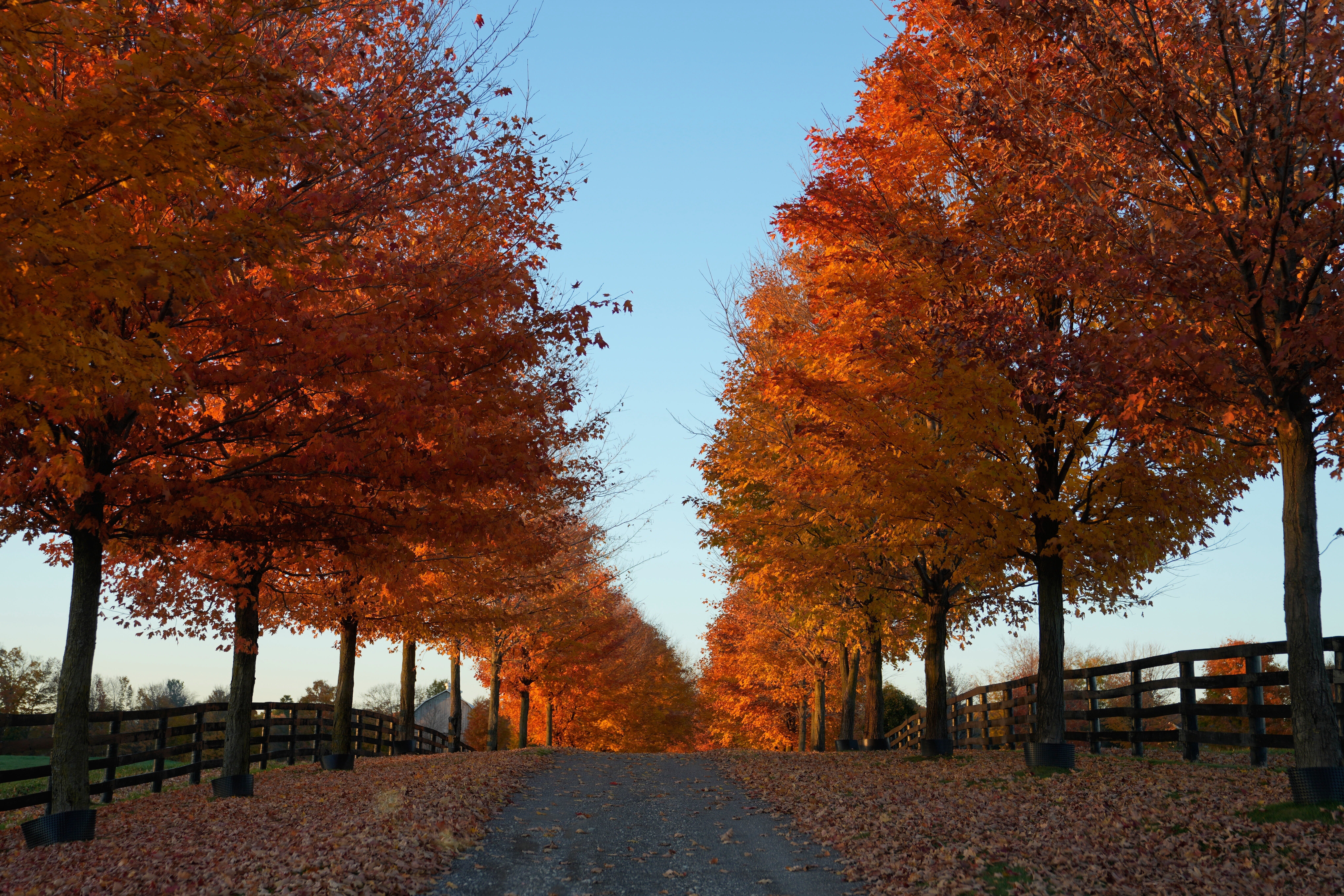Climate Fall Foliage Photo Gallery