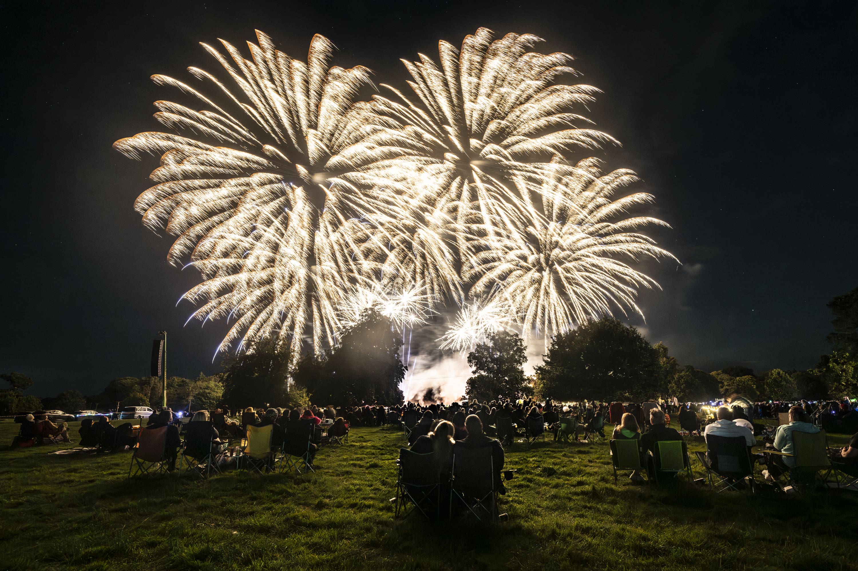 ‘Nobody needs fireworks at random. Limiting them to professional public displays for national holidays such as Bonfire Night, Eid, Diwali, and the two New Years would give everyone a really good show’