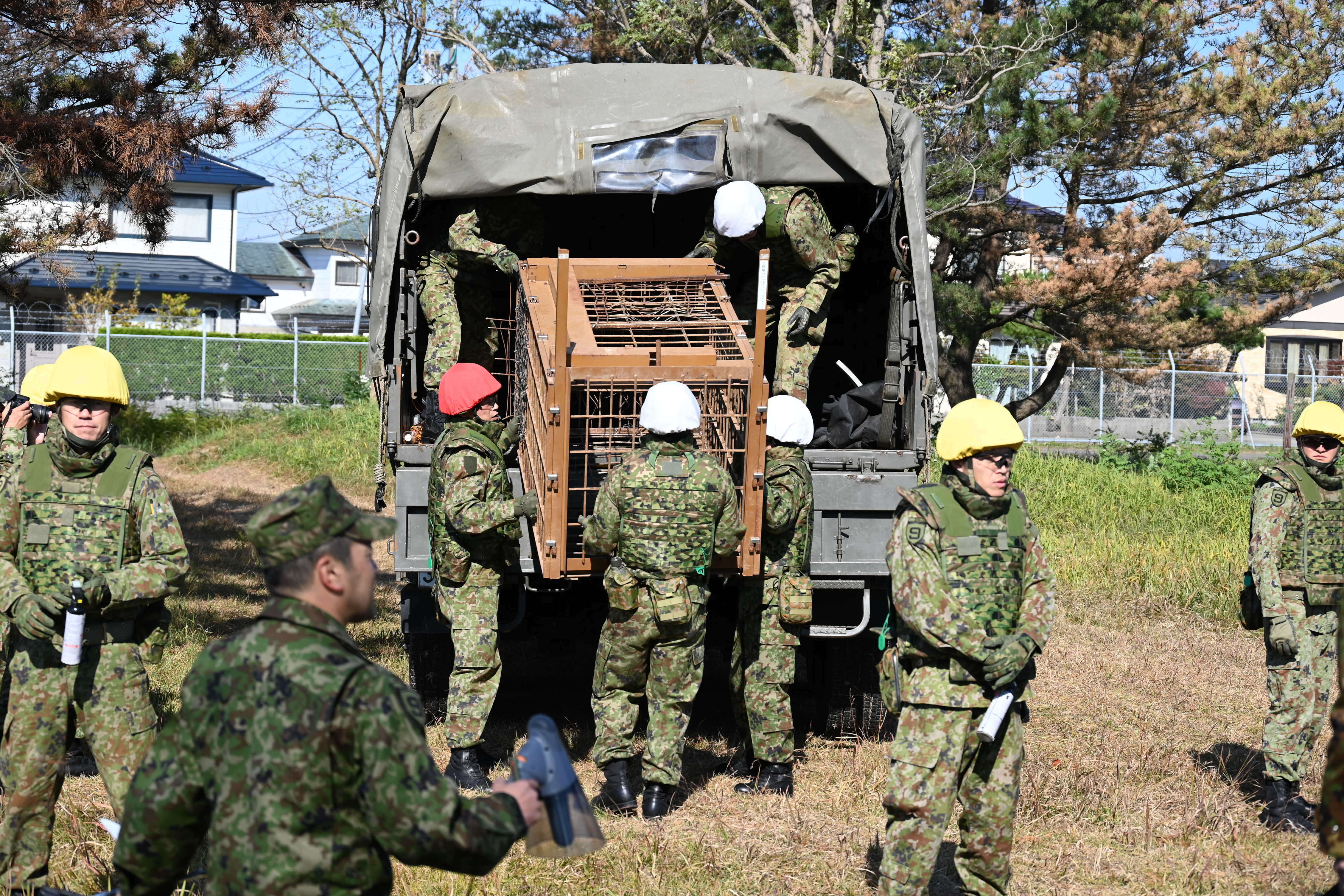 Self-Defense forces personnel unload a bear cage from a military truck in JSDF Akita Camp, Akita, northern Japan, Thursday, Oct. 30, 2025. (JSDF Akita Camp via AP)