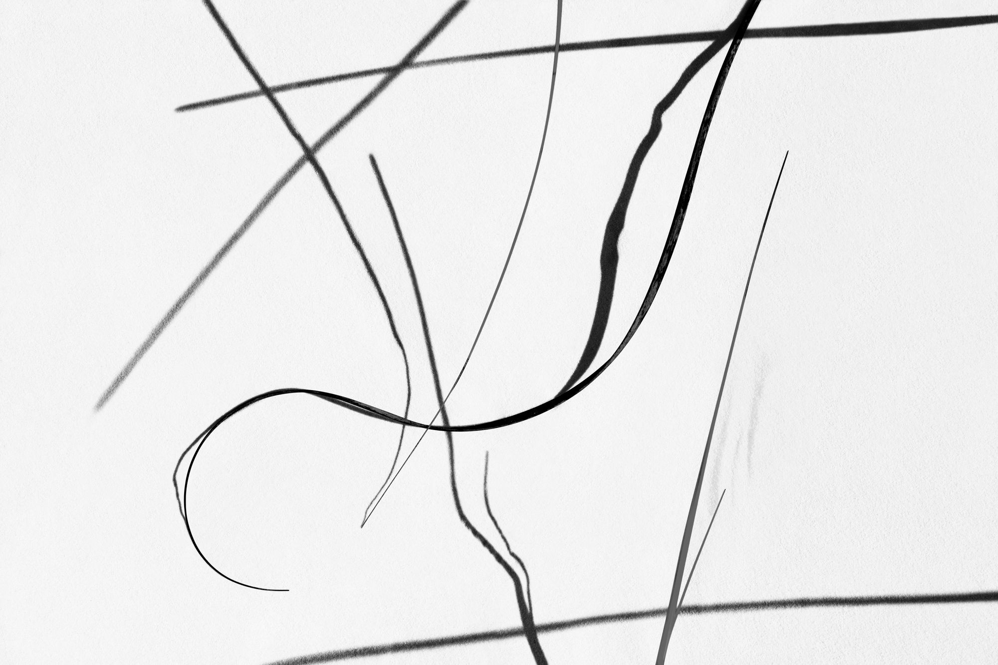 All proceeds from ‘Sandscript’ will go to the King’s International Fund campaign ‘Generation Potential’