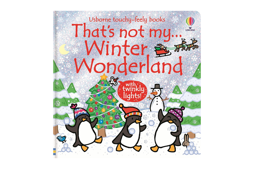 Best Christmas book for kids IndyBest review ‘That’s Not My Winter Wonderland’ by Fiona Watt, published by Usborne Publishing Ltd
