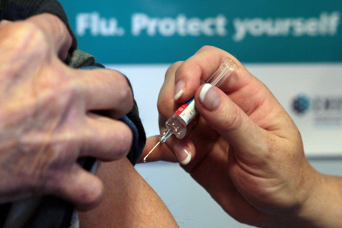 Thousands could die in bad flu wave this winter, experts warn, as they call for vulnerable to get vaccinated