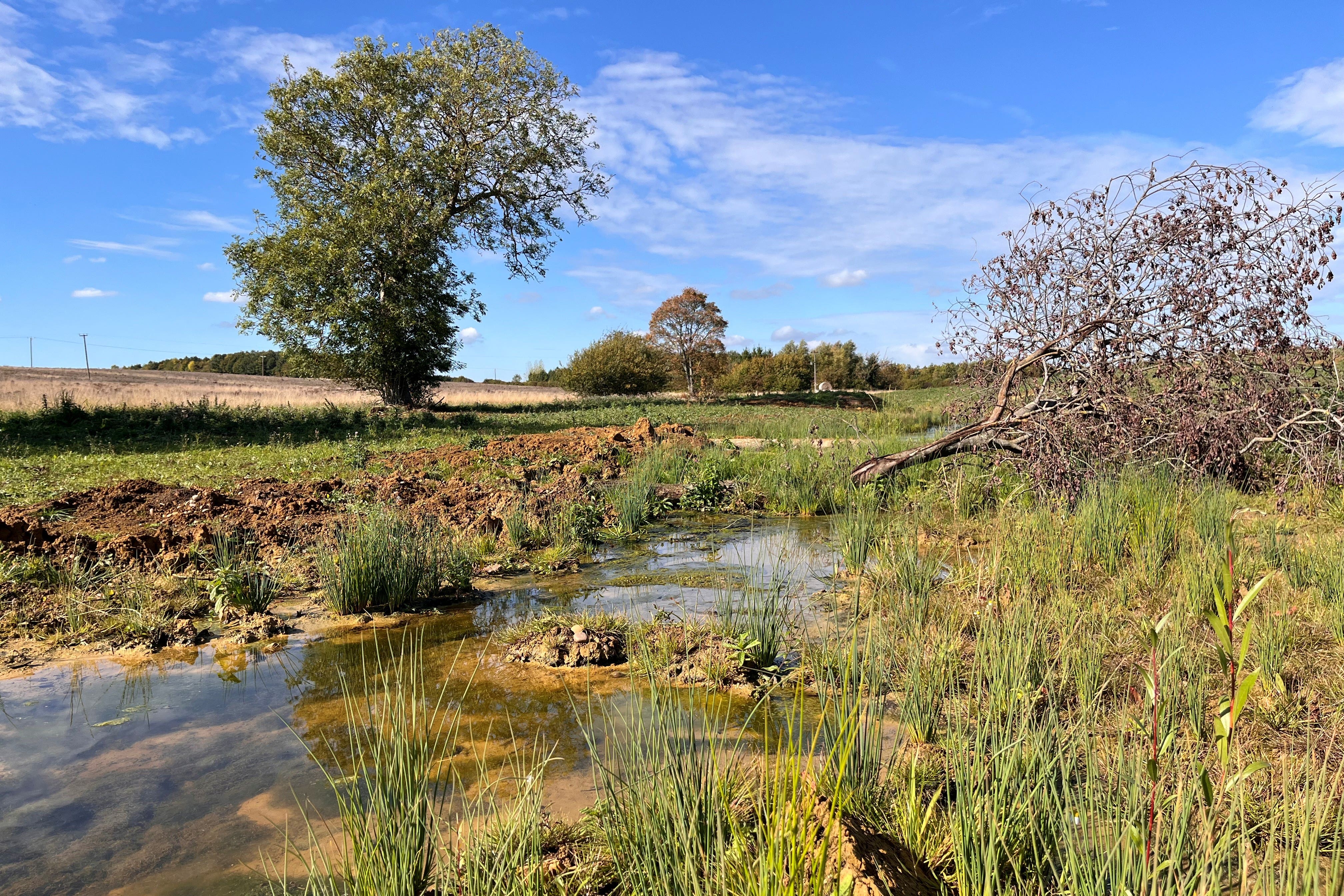 Natural England is refocusing efforts on landscape-wide nature recovery (Emily Beament/PA)