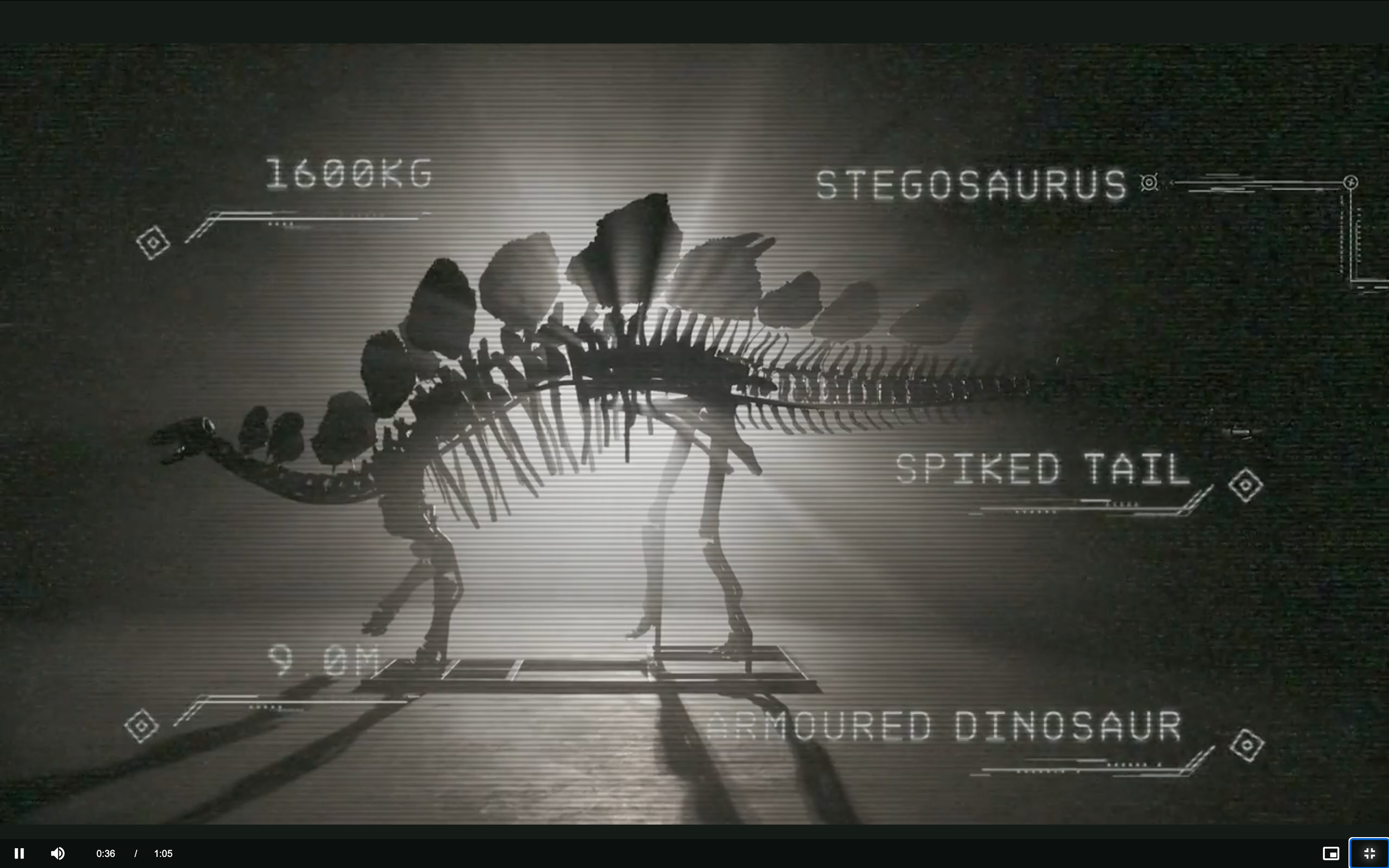 The stegosaurus specimen, seen here in a stylised Christie’s promotional video
