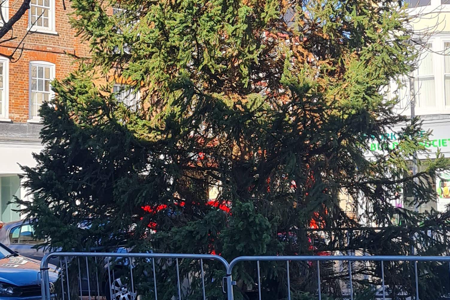 A Christmas tree described by a town council as an ‘absolute disgrace’ that looked like it was ‘half dead or dying’ has been removed after the authority demanded a replacement (Wisbech Town Council/PA)