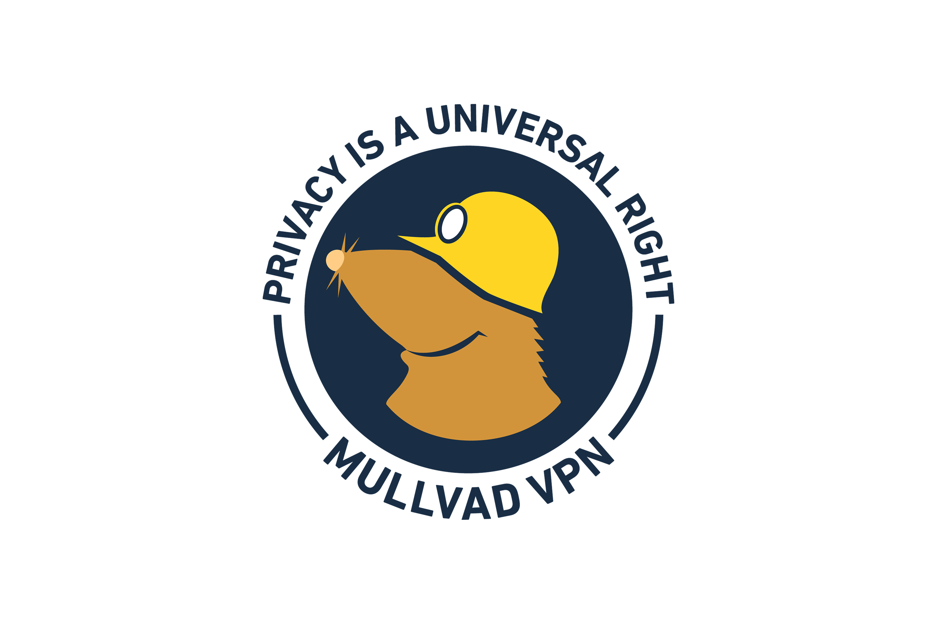 best vpn for speed indybest review mullvad vpn