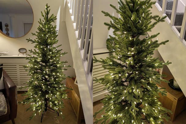 Balsam Hill red spruce tree tester photos