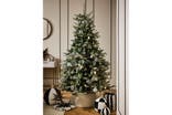 Next white snowy Nordmann fir 6ft pre-lit Christmas tree