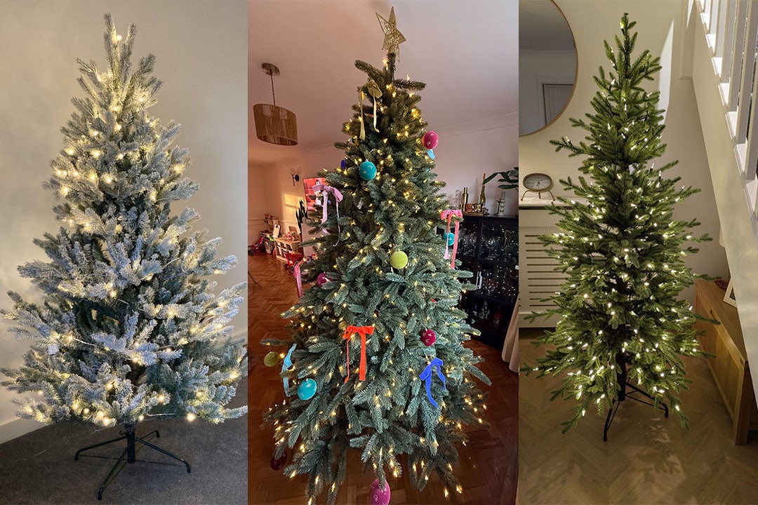 I got into the festive spirit and set up a range of different spruces