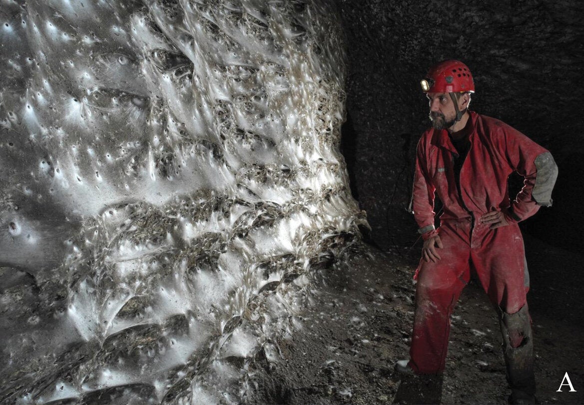 Rare colonial spider web in a cave on Albania’s border with Greece