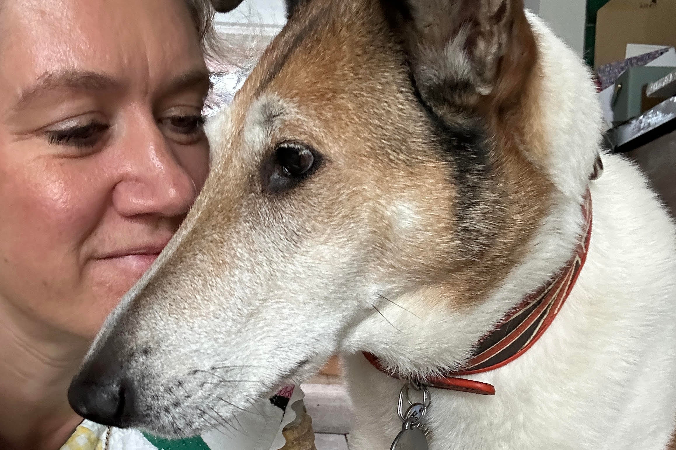 Louise Glazebrook and her beloved 13-year-old rescue dog, Pip