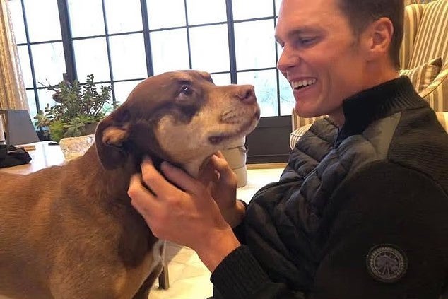 Tom Brady cloned his dog, Lua, who passed away in 2023
